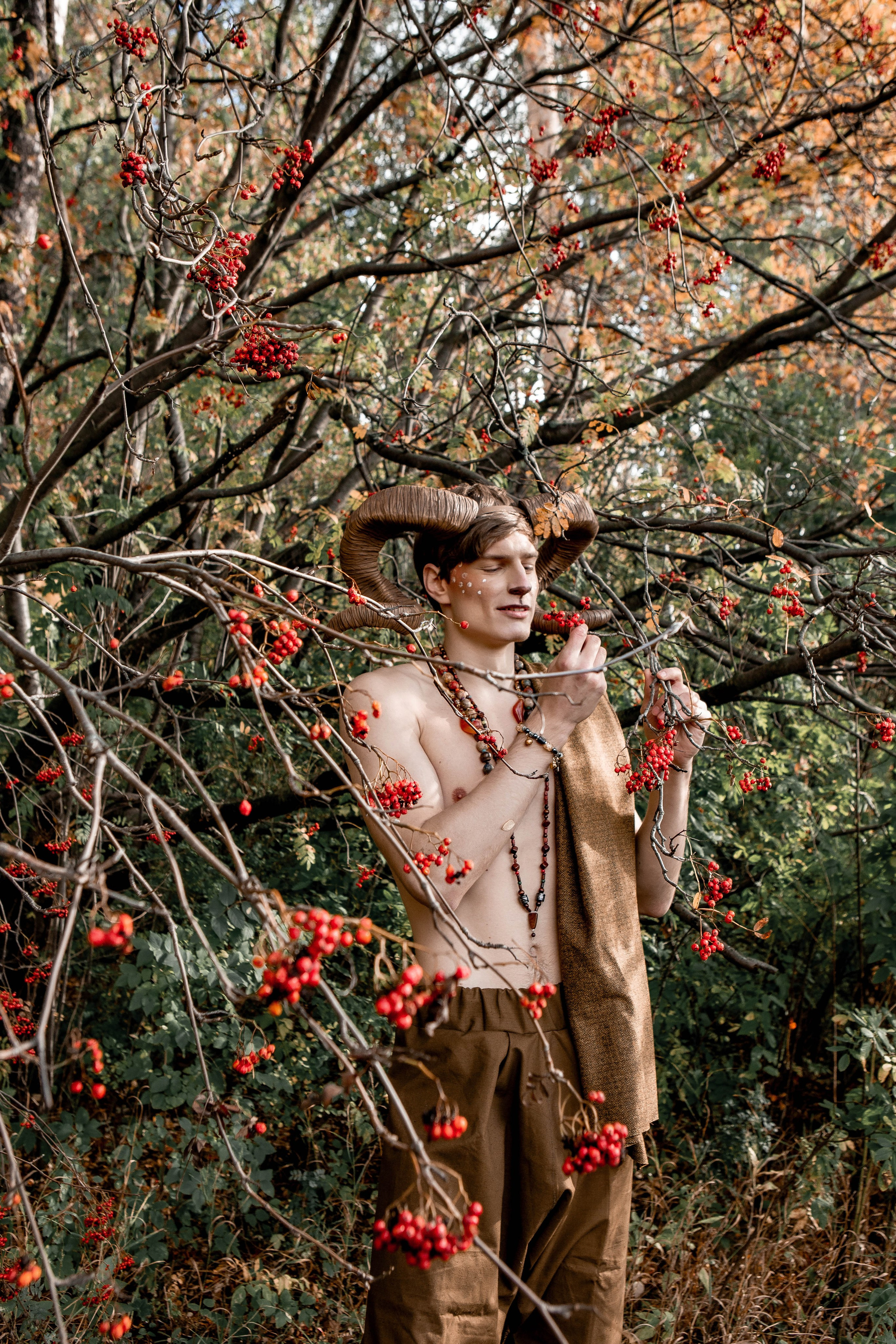 Волшебный лес. Фотограф Екатерина Голицына