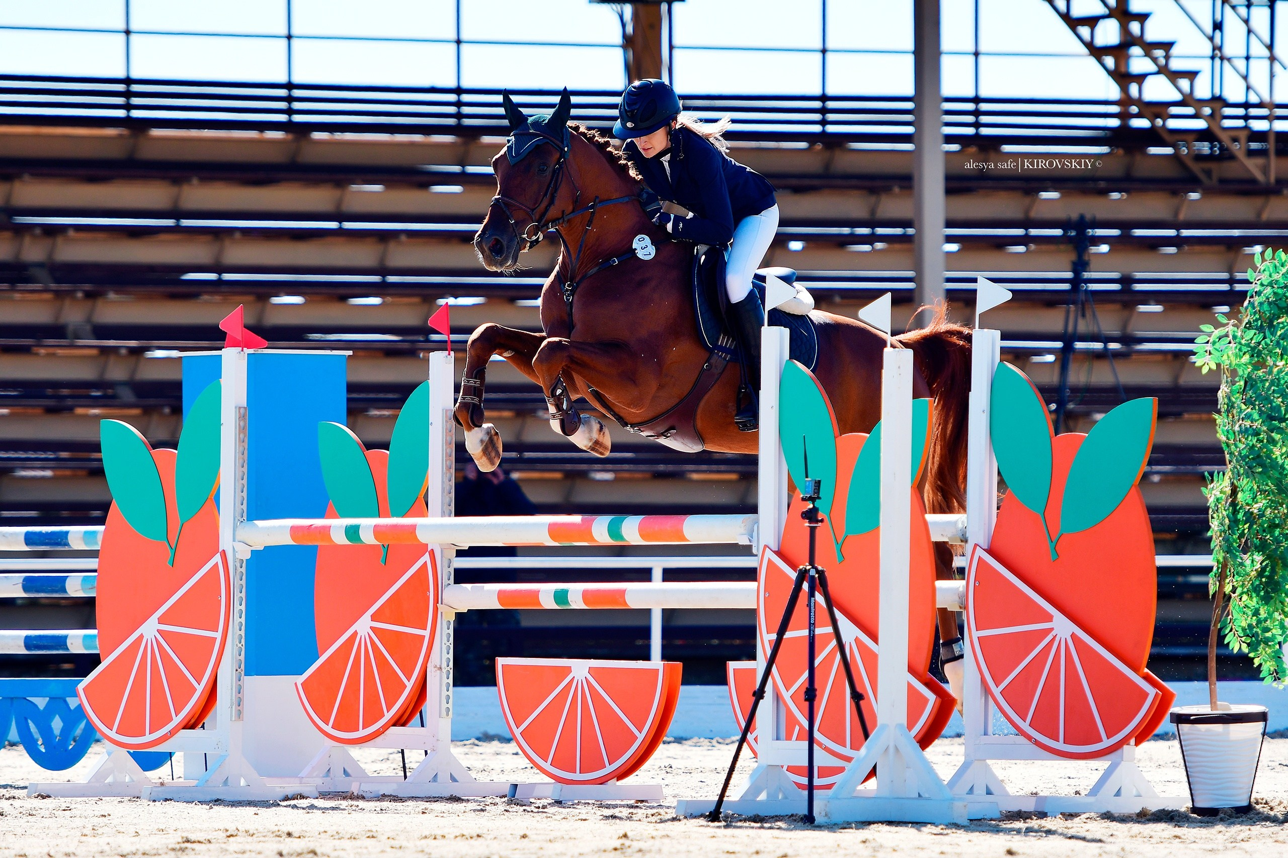 Кировский конный завод. Конный фотограф Alesya Safe