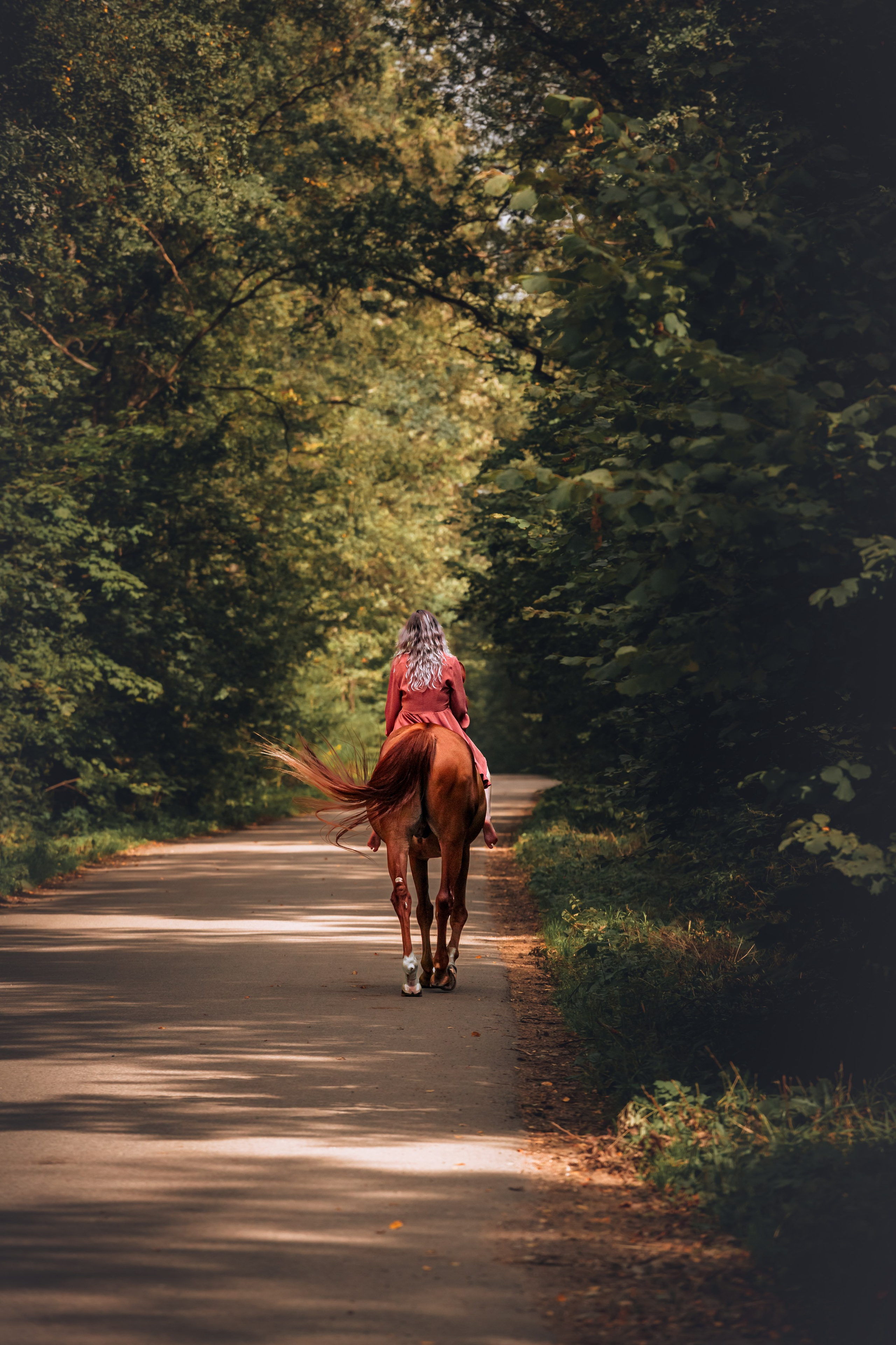 Экспресс фотопрогулка на конюшне. Фотограф-анималист Татьяна Степанова