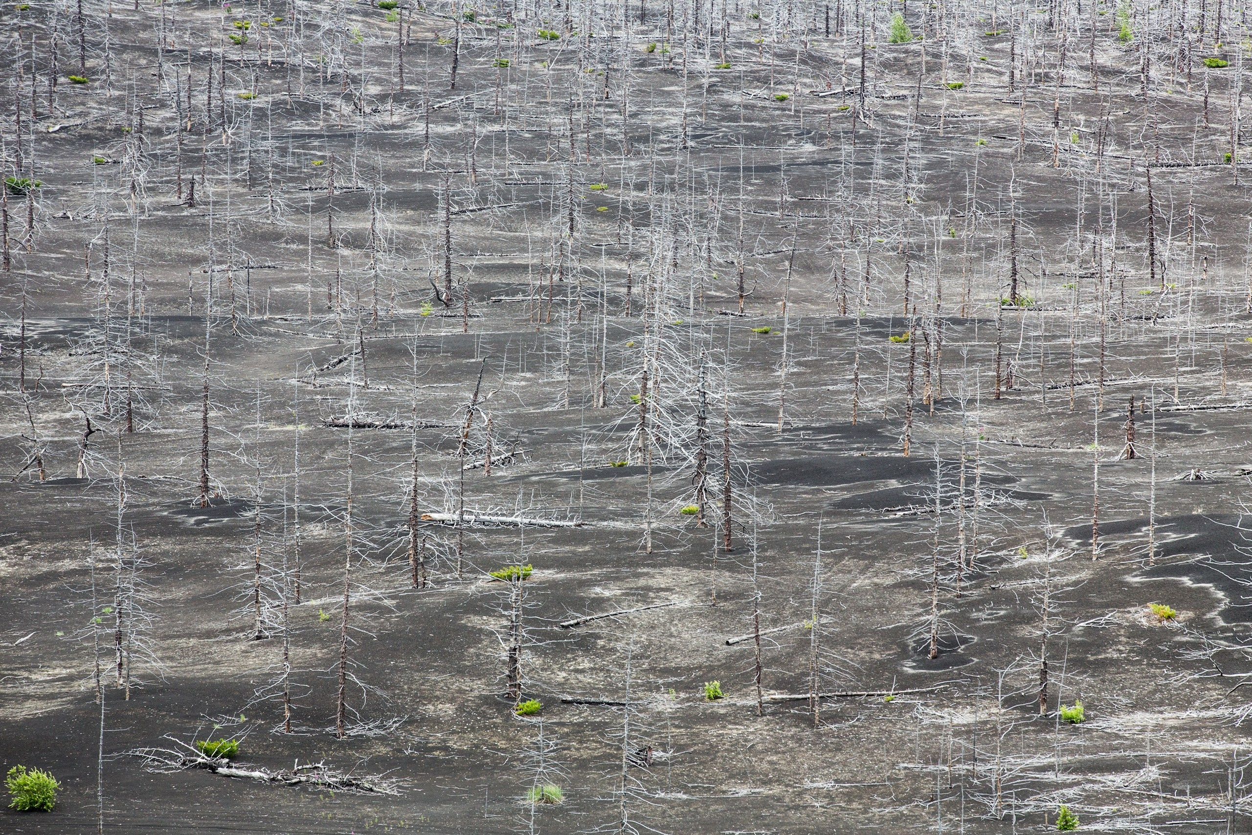 Камчатка. Фотограф Владимир Медведев