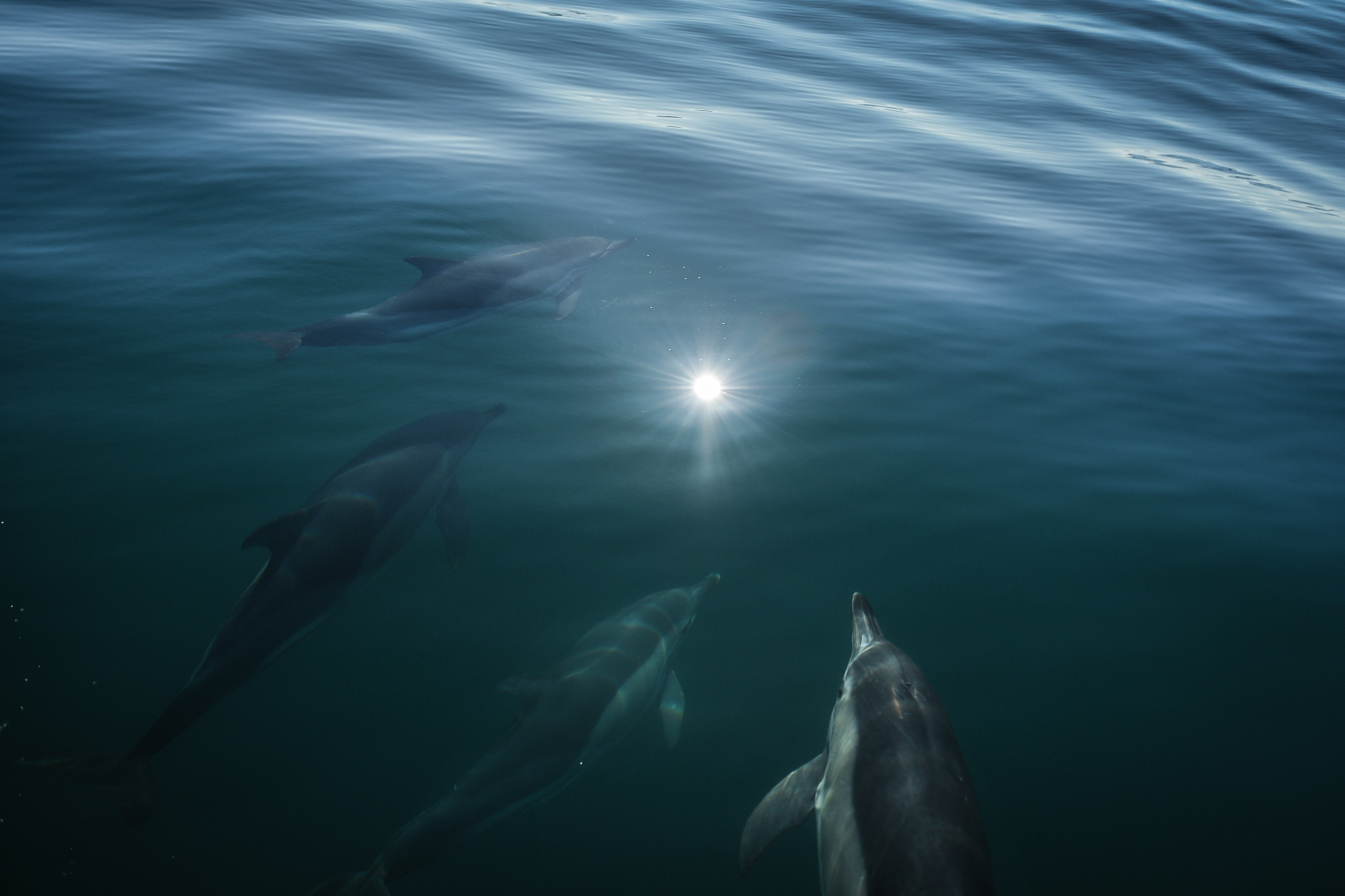 Wild and free. Anastasia Serdyuk, travel photographer, travel photo, portraits, stories, fineart prints