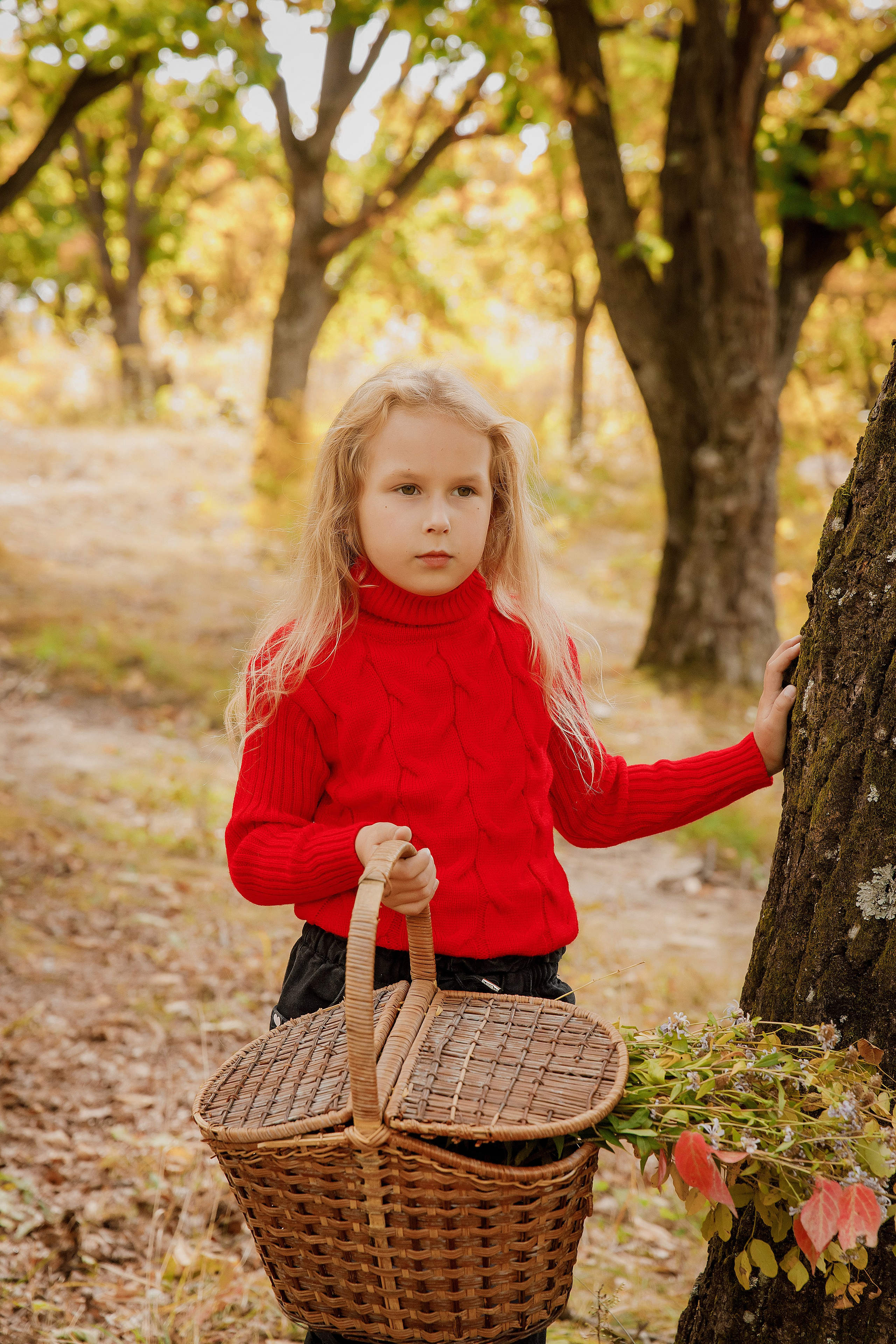 1А «Гимназия № 1» город Артем. Photoalbum-vl.ru