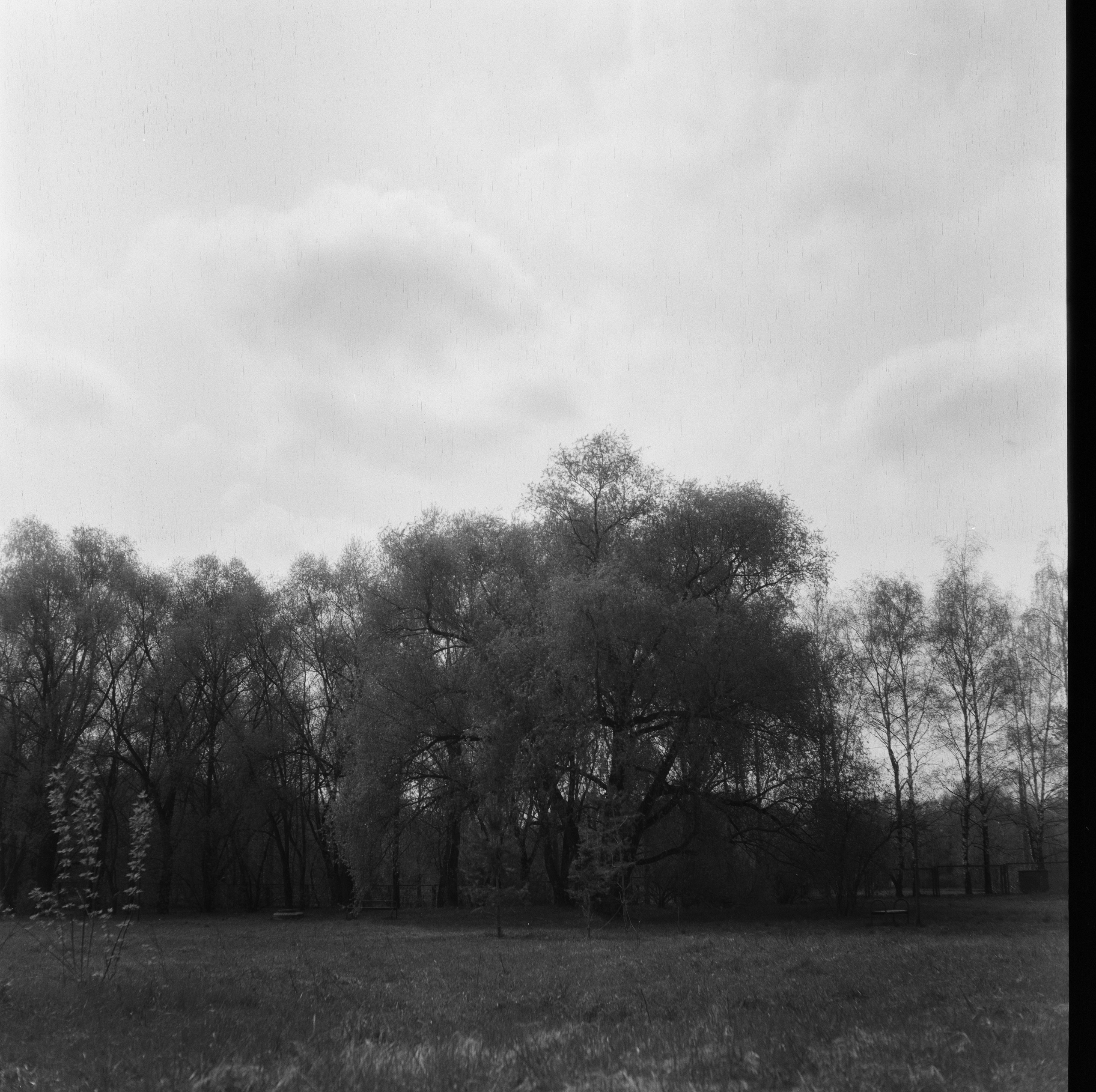 Minolta Autocord / Kodak Double-X 2405 aerographic