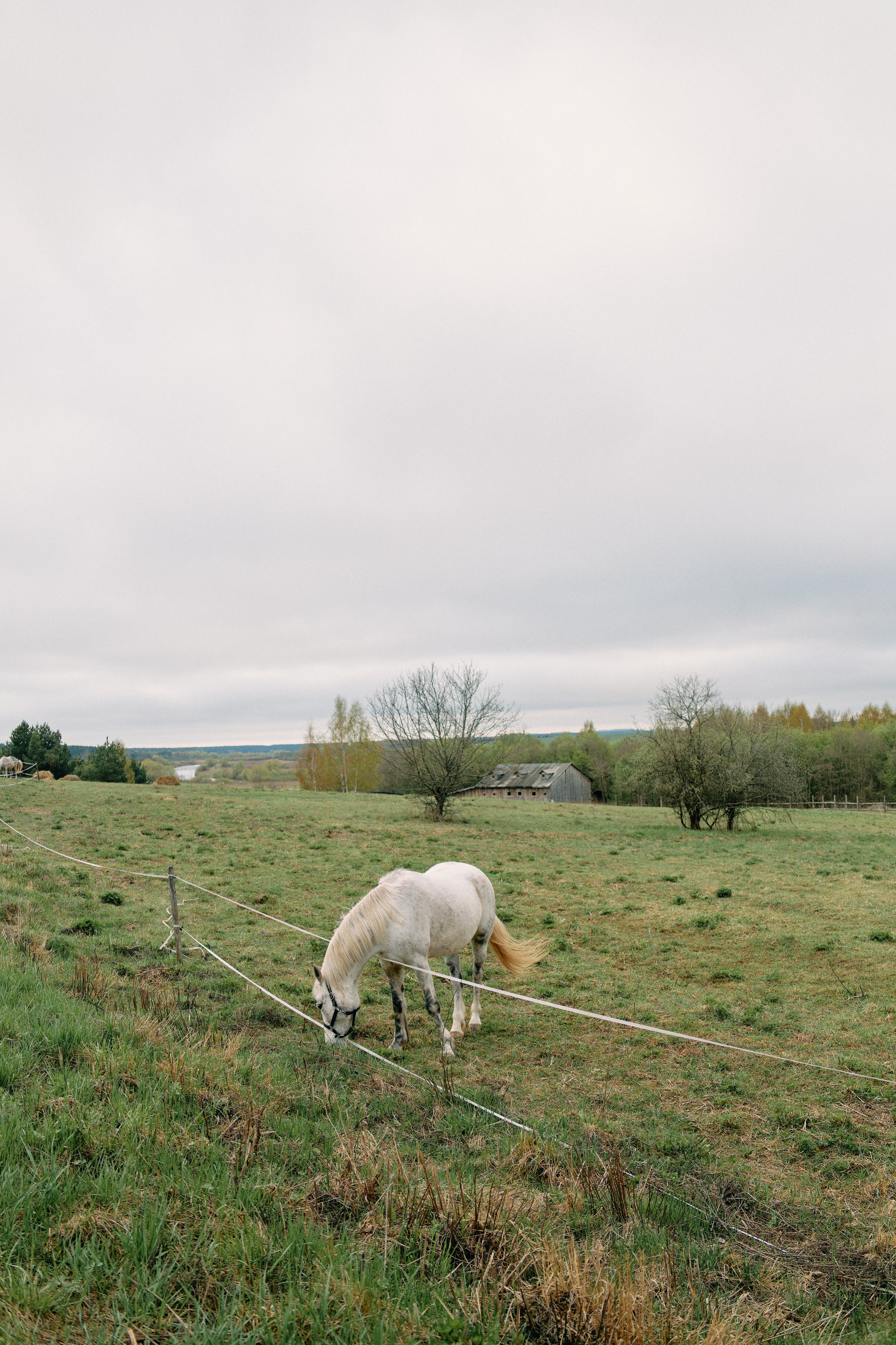 Бутик-отель Поле летом. Профессиональный Фотограф во Владимире, в Москве и в Суздале — Полина Романычева