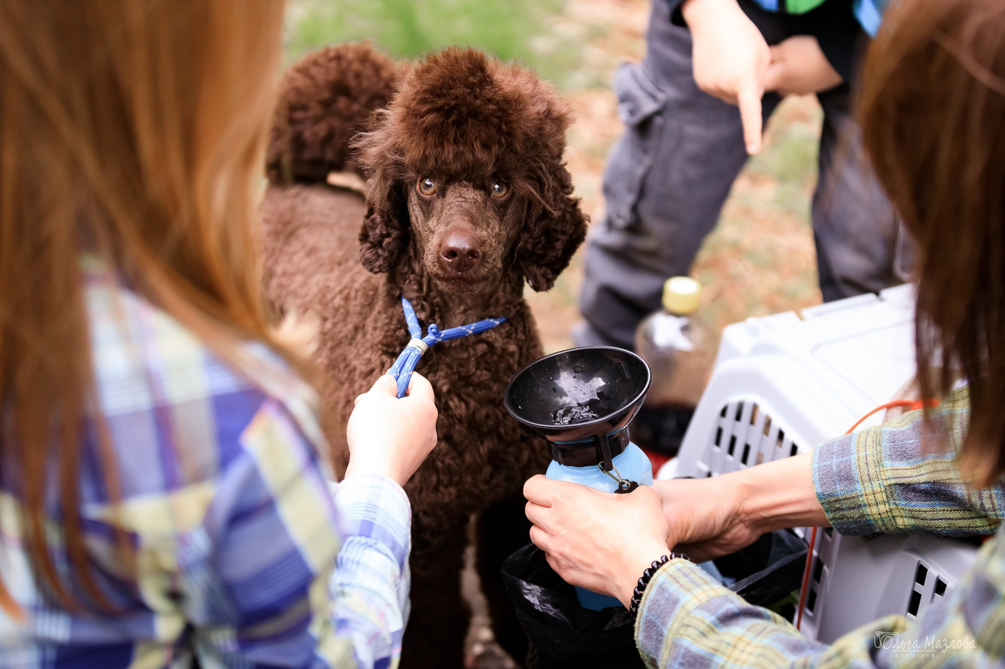 У санатория. Фотограф в Саратове Ольга Мазлова