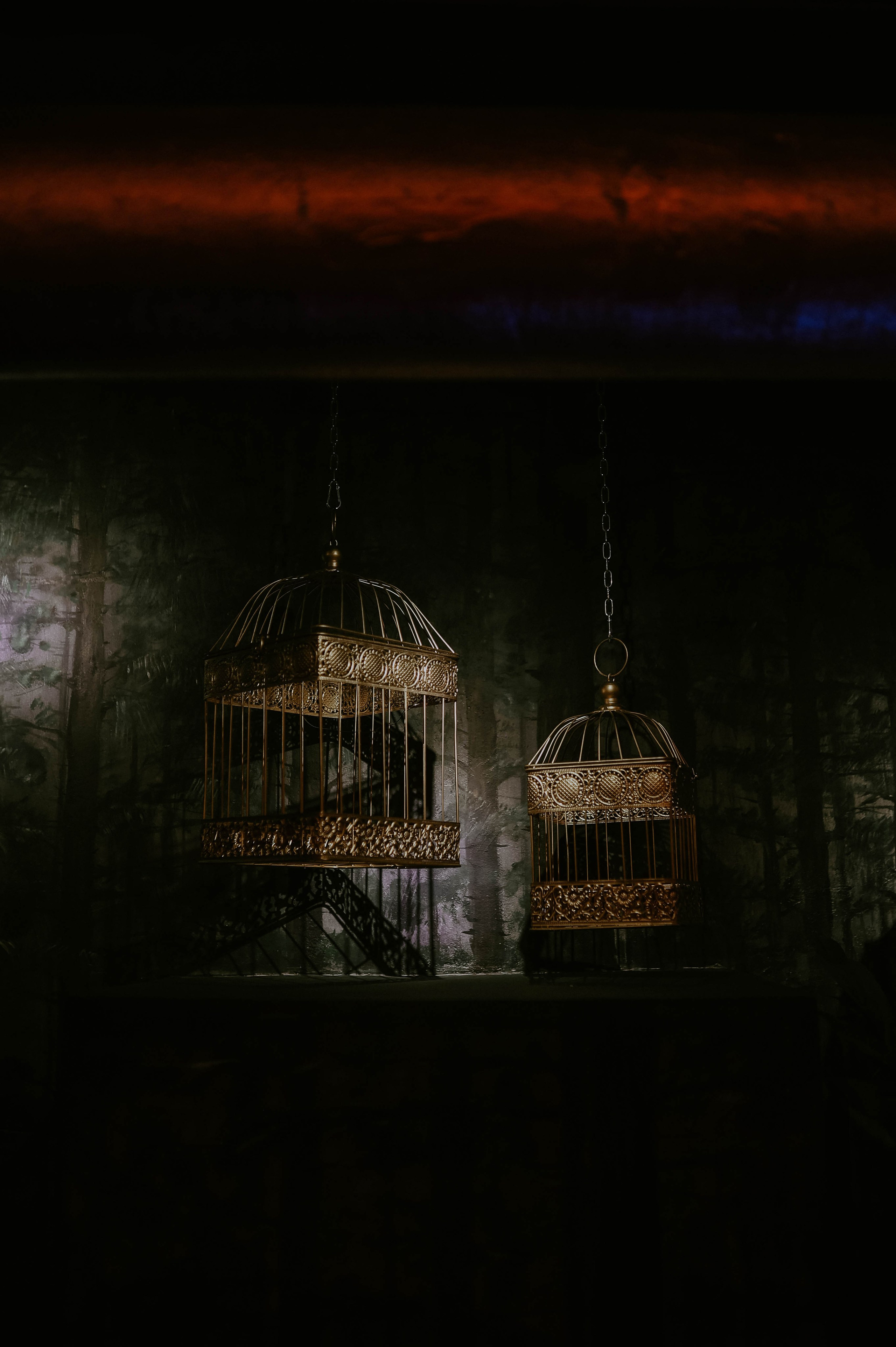 Презентация бренда Гудвин. Фотограф в Москве и любой точке земного шара Алёна Вялова (Чулкова)