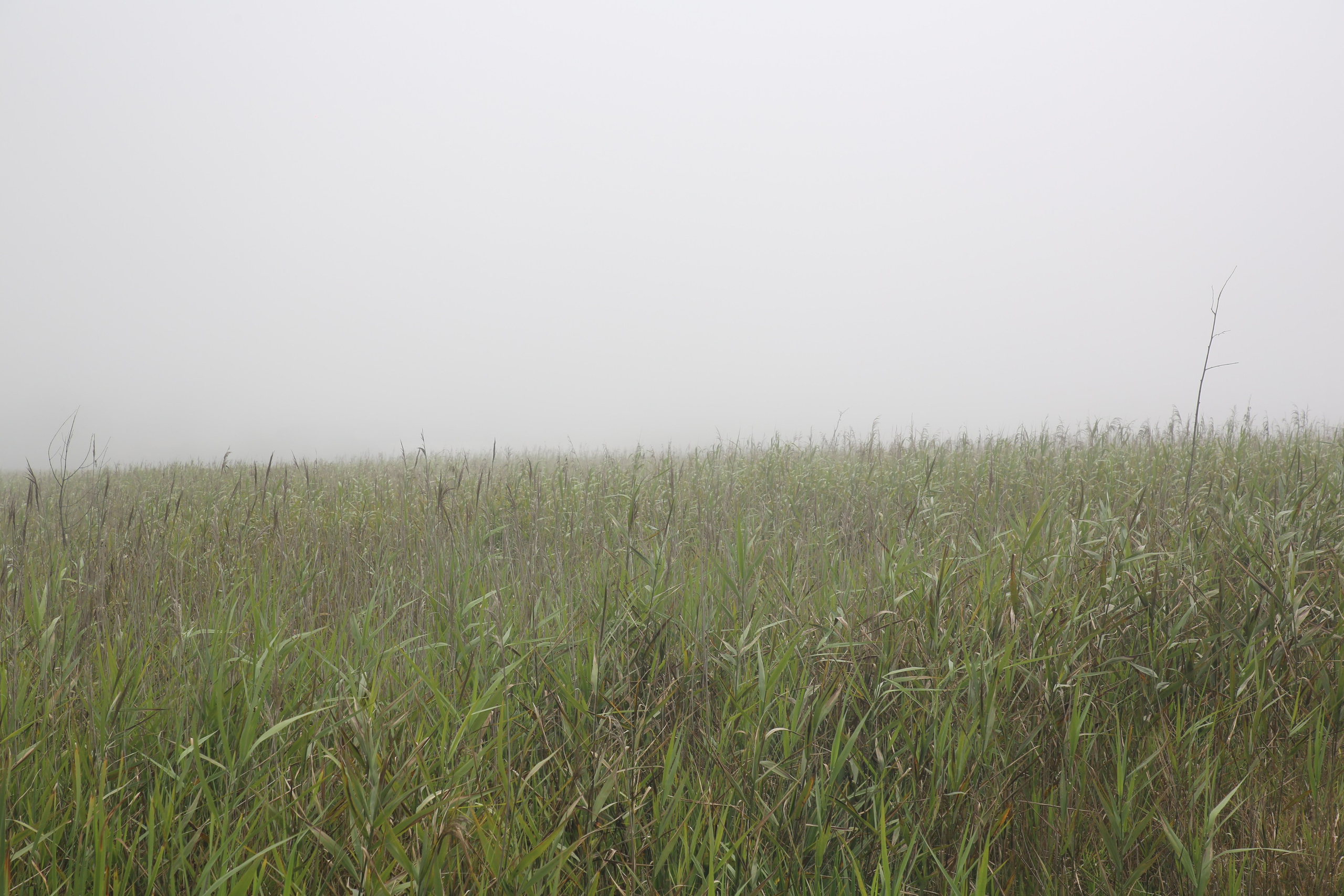 Esmoriz, Portugal. Andrey Filippov Photographer