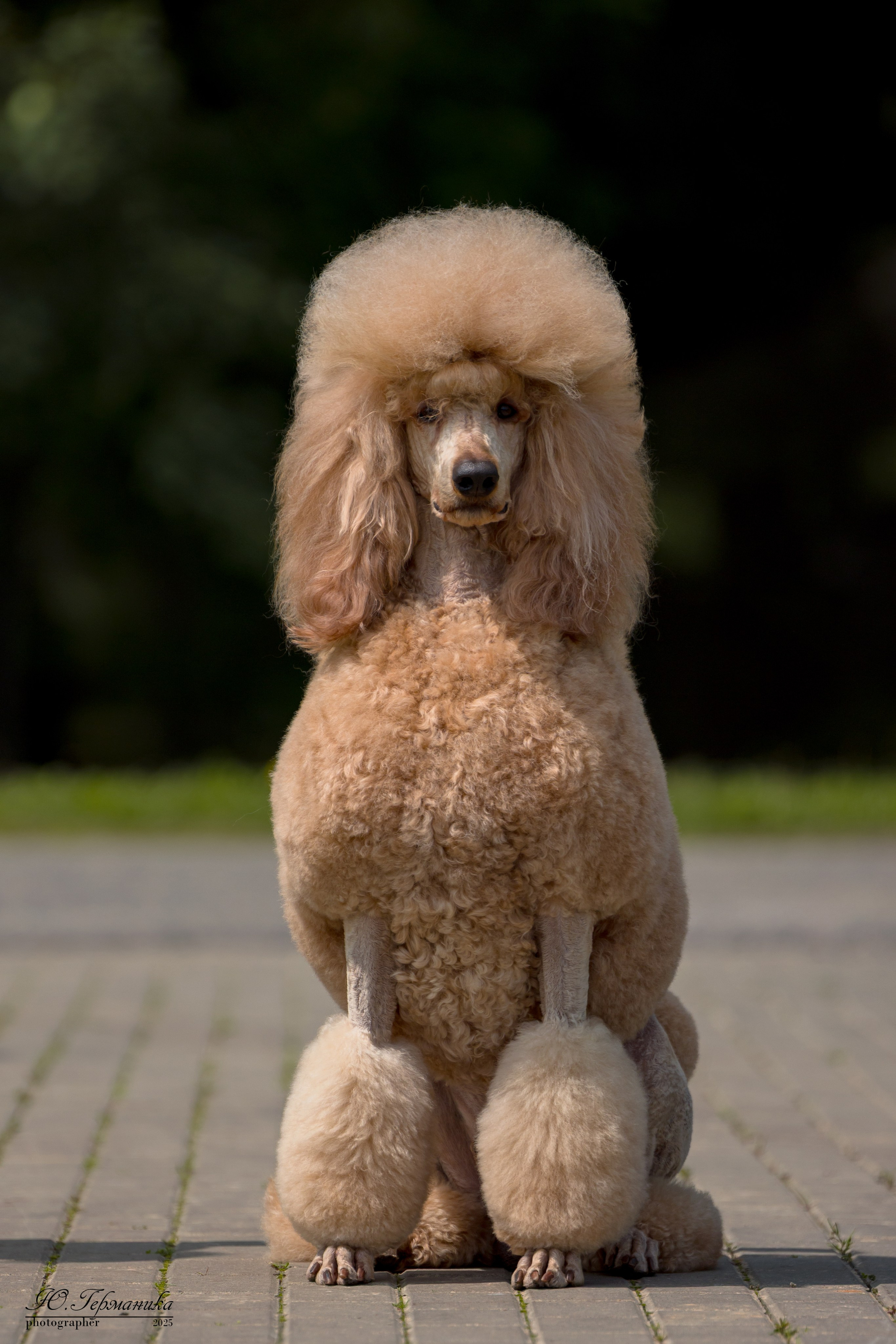 Минск 31.05-1.06.2025