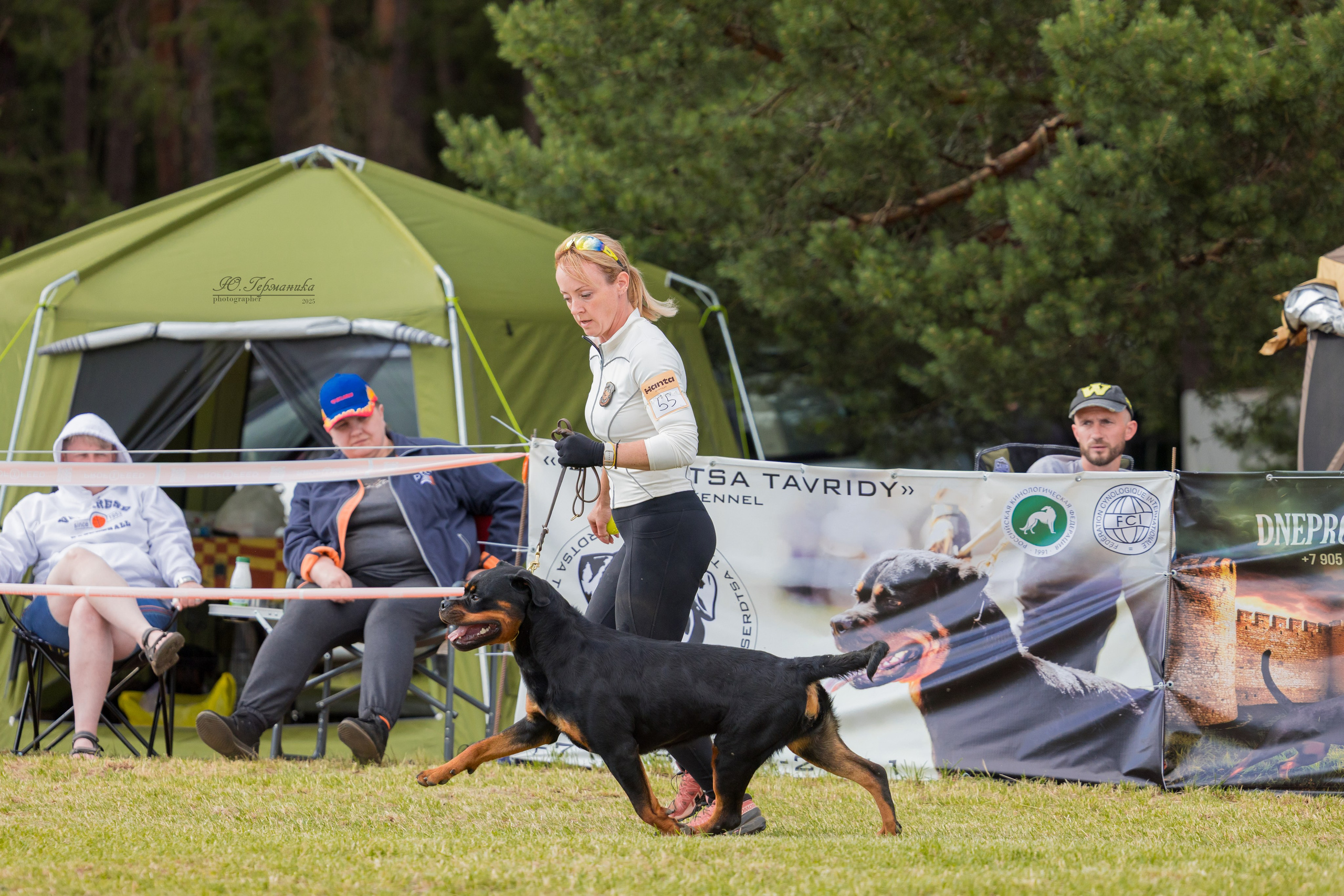 Тверь ротвейлеры 5-6.07.2025. Фотограф-анималист Юлия Германика
