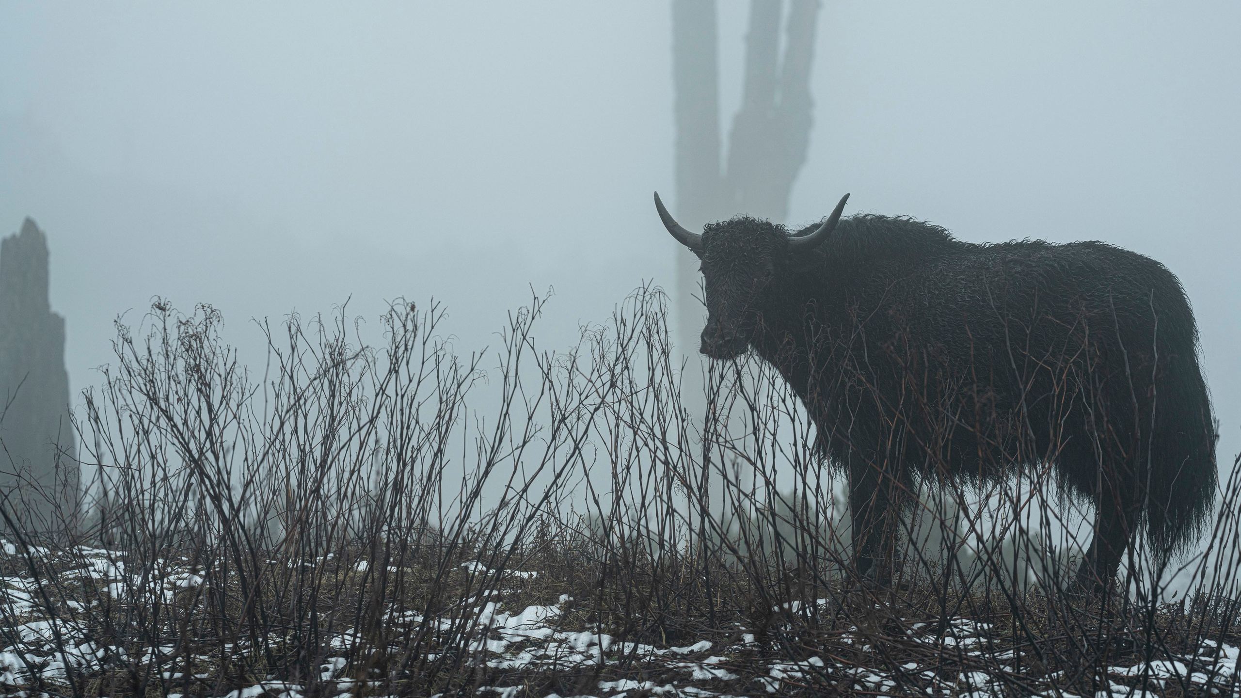 India travel. Фотограф Сергей Танков