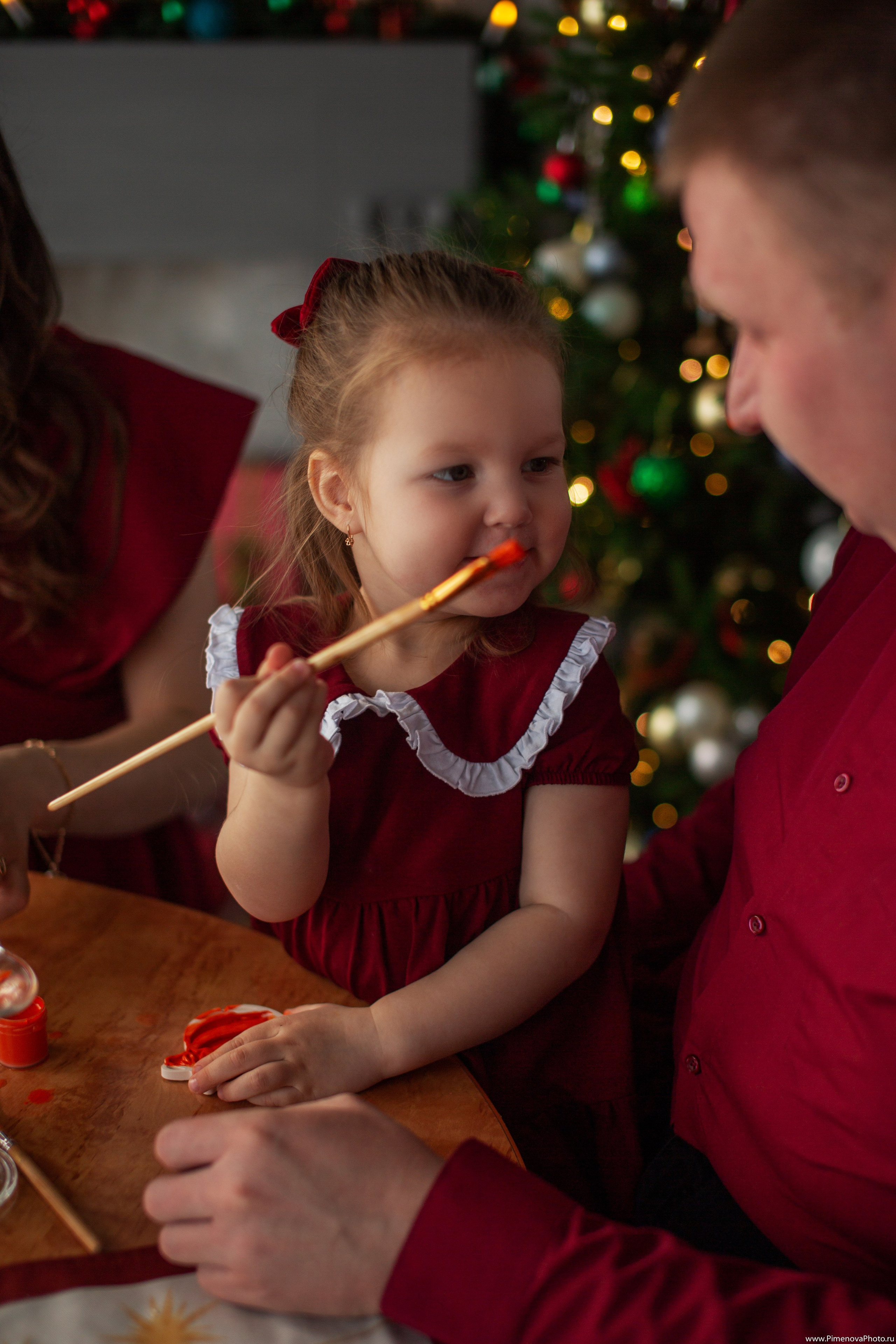 Новогодняя сказка Есении, 2024. Семейный и детский фотограф в Петрозаводске