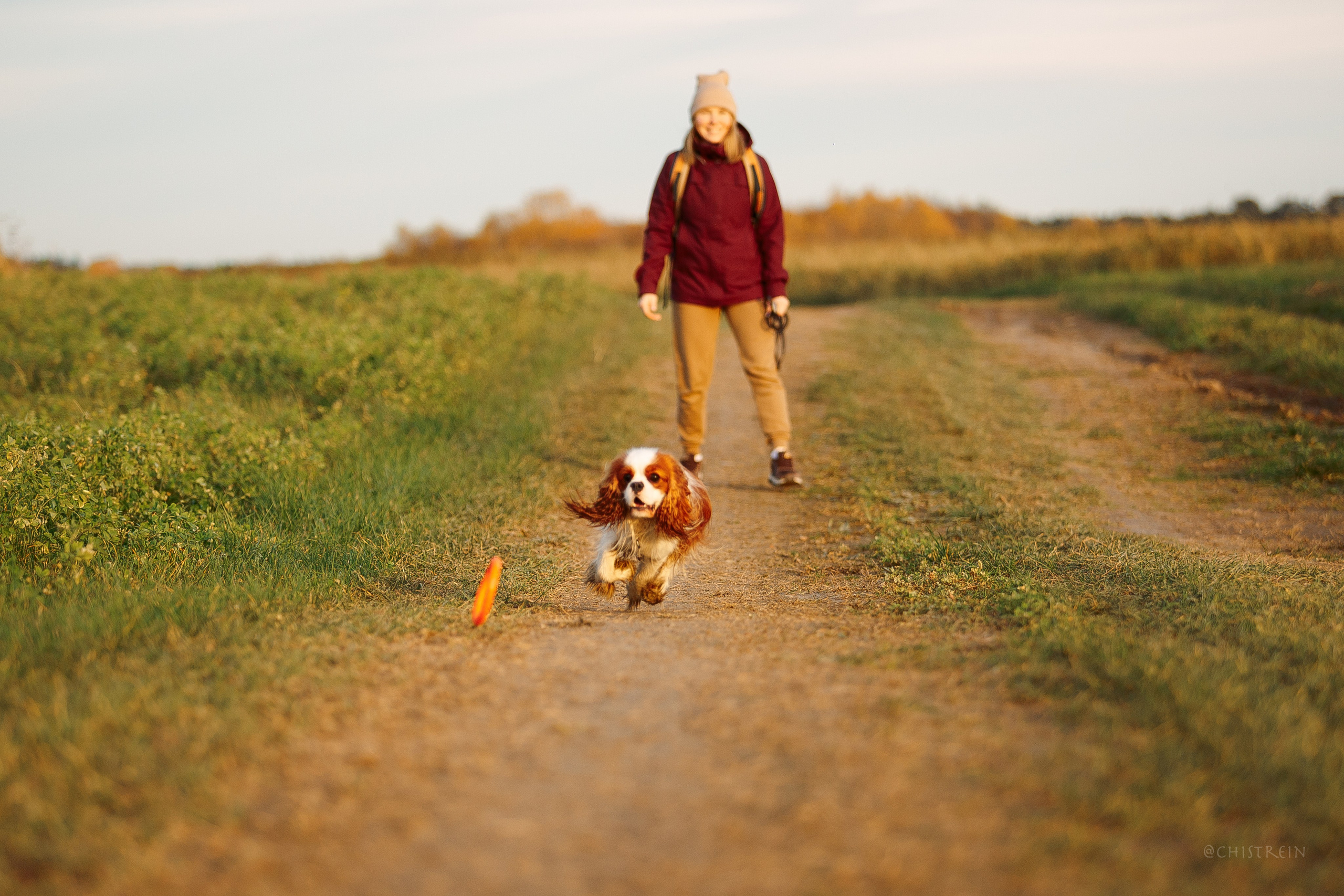 Октябрьский закат в полях. Алина и Лео. Фотограф-анималист Наталия Чистюхина в г. Сосновый Бор и ЛО