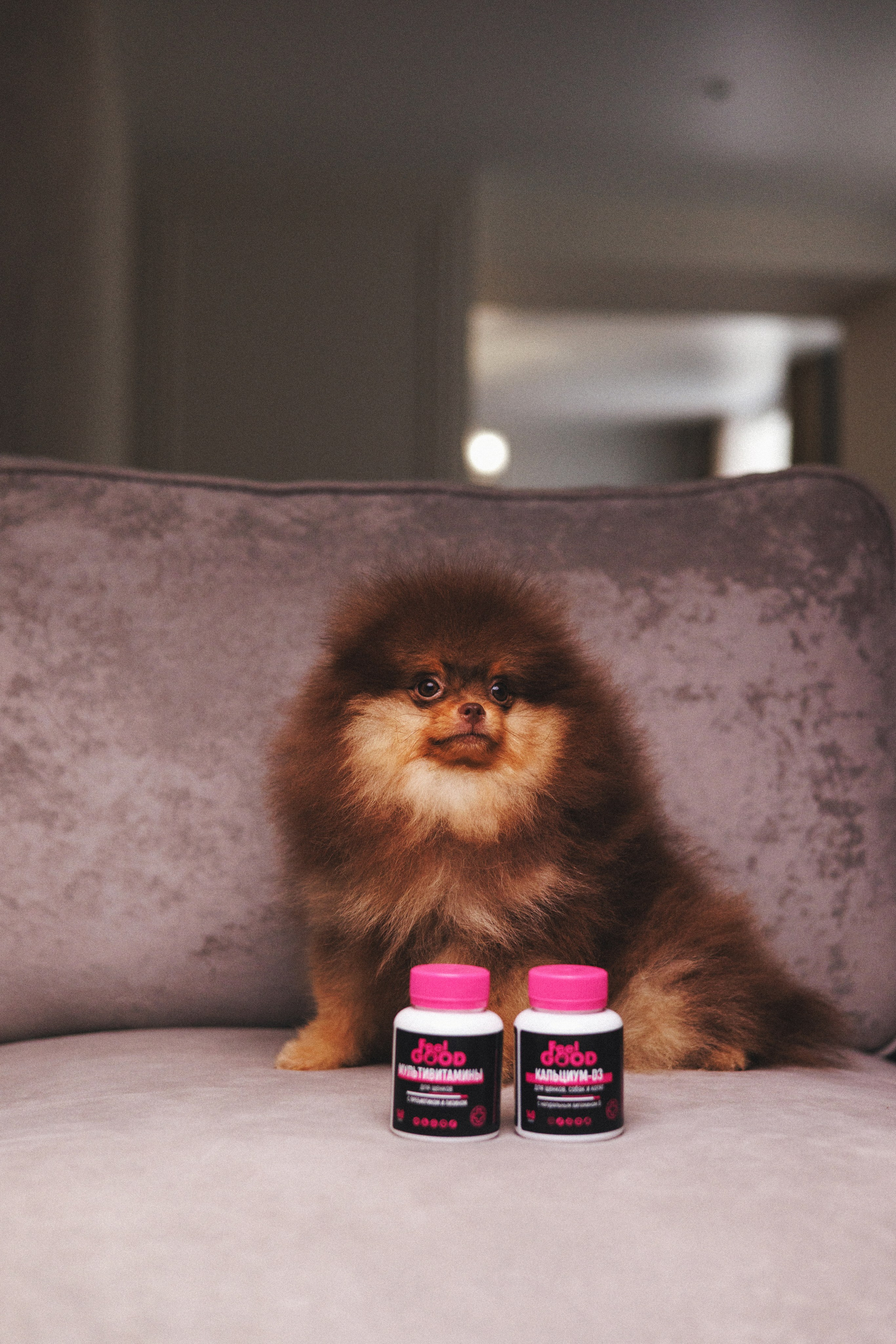 Товары для питомцев M-Pets & Petbiology. Фотограф анималист Осипчикова Мария