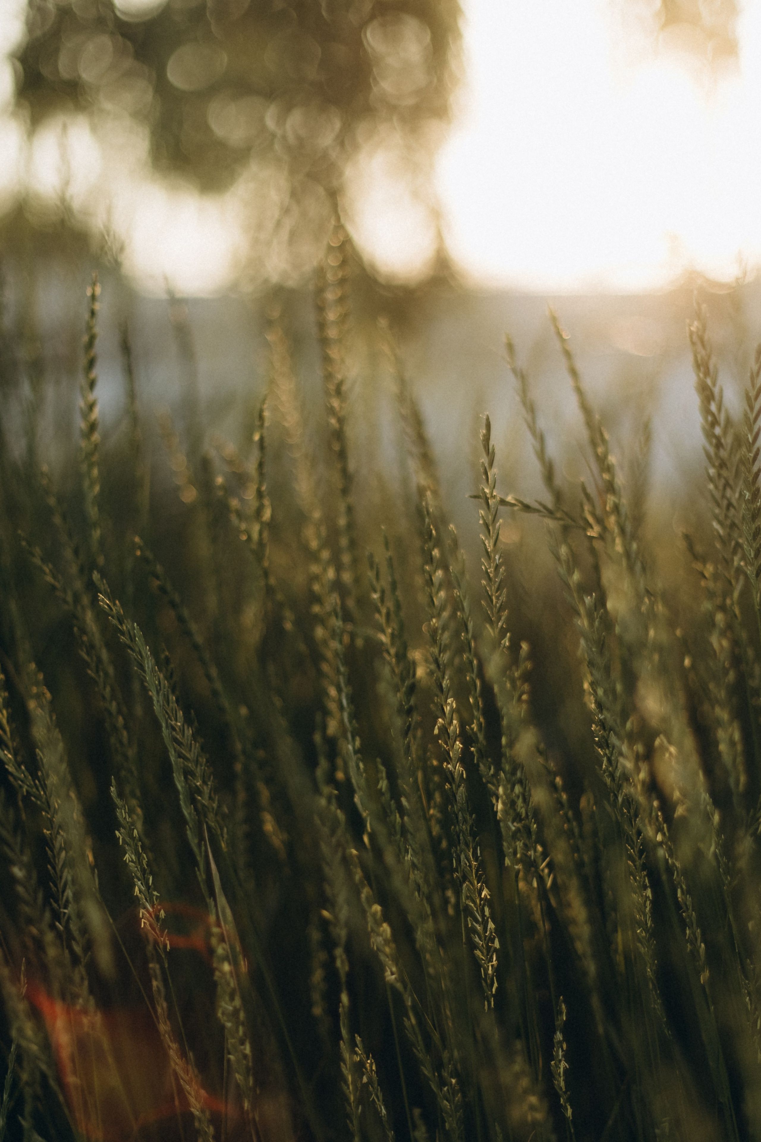 Семья Большаковых. Главная