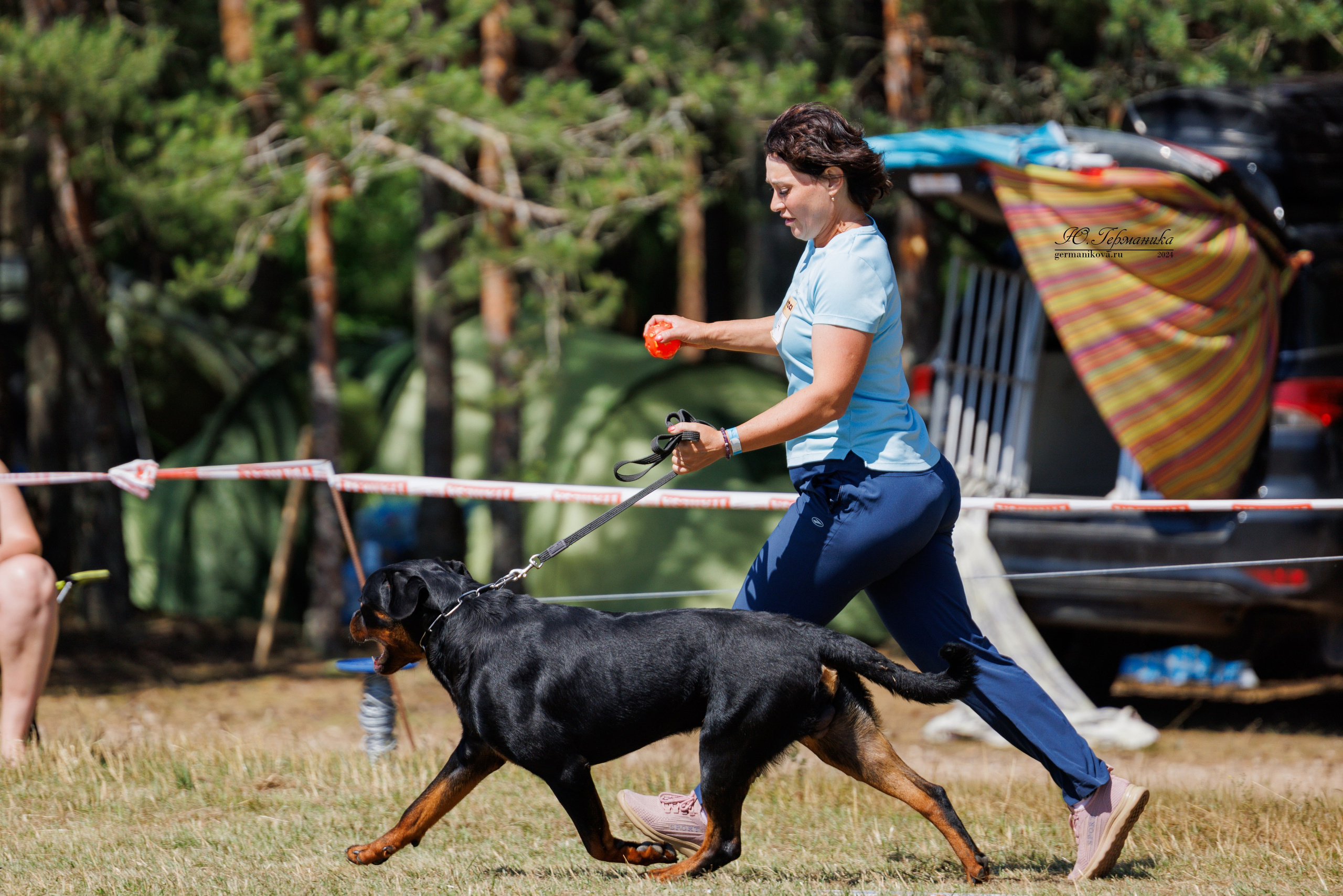 ПК и КЧК ротвейлеры Тверь 6-7.07.2024. Фотограф-анималист Юлия Германика