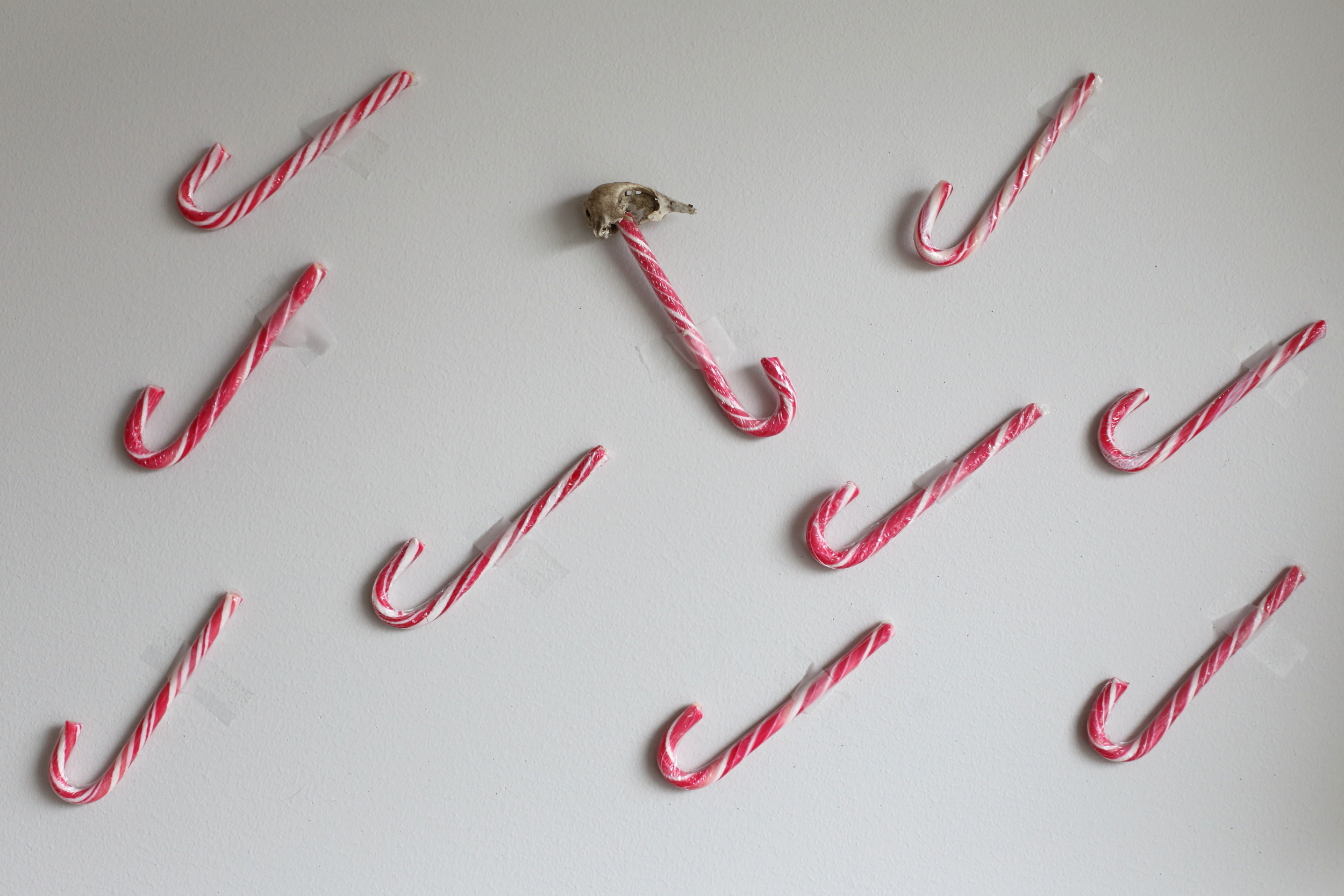 #stayathome. Екатерина Васильева художник, куратор и преподаватель