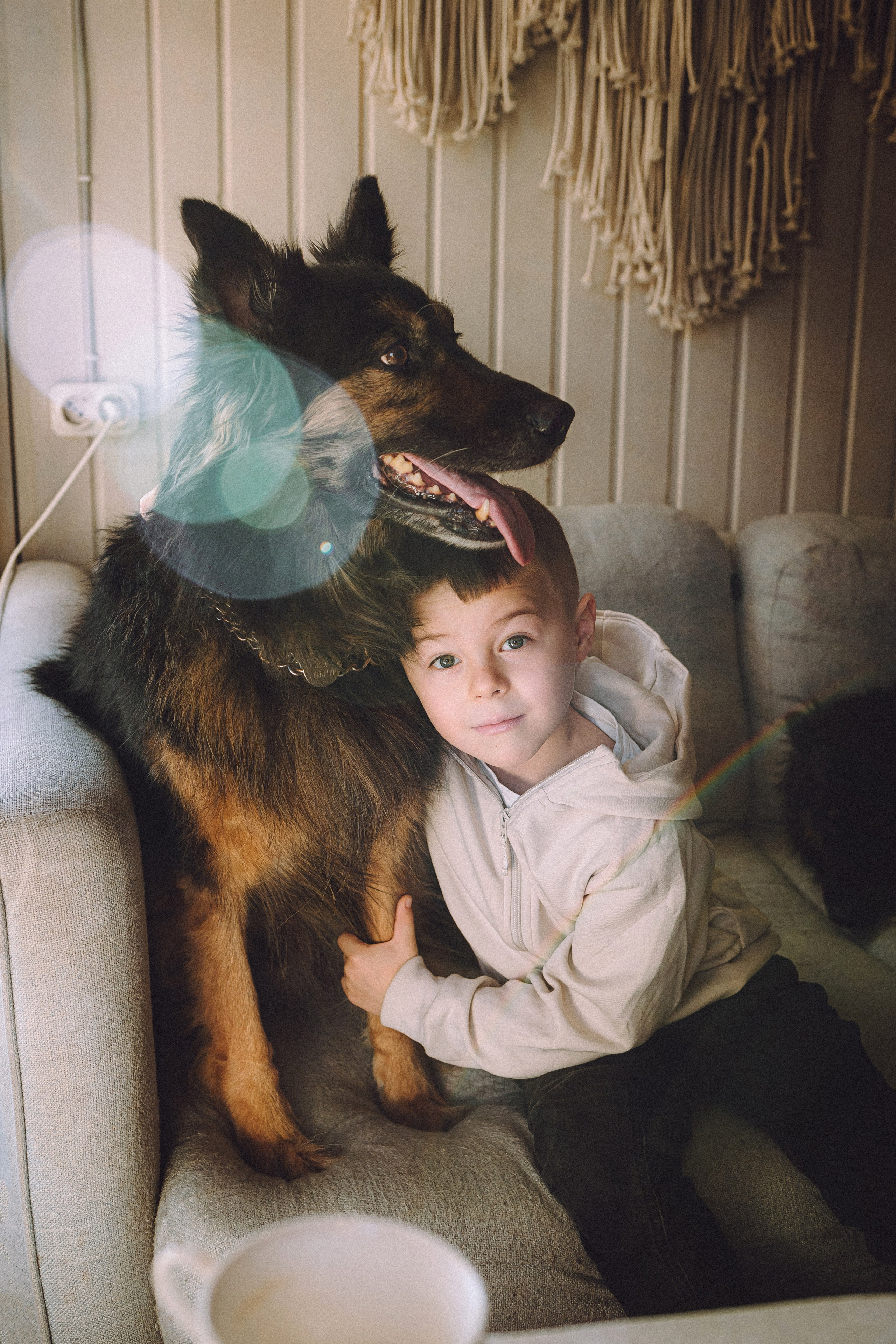 Плюш, Айса и их семья