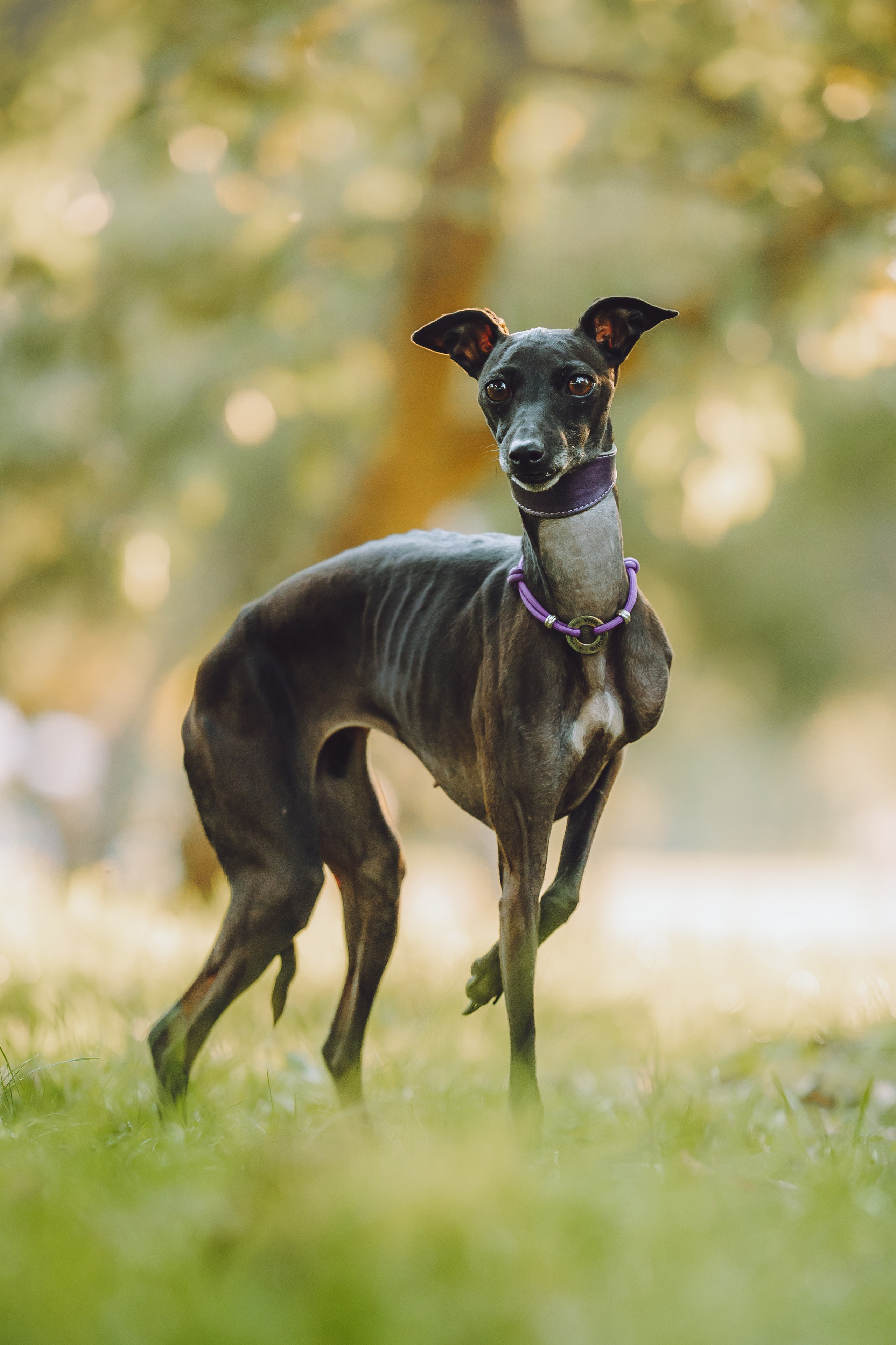 Кристина и все-все