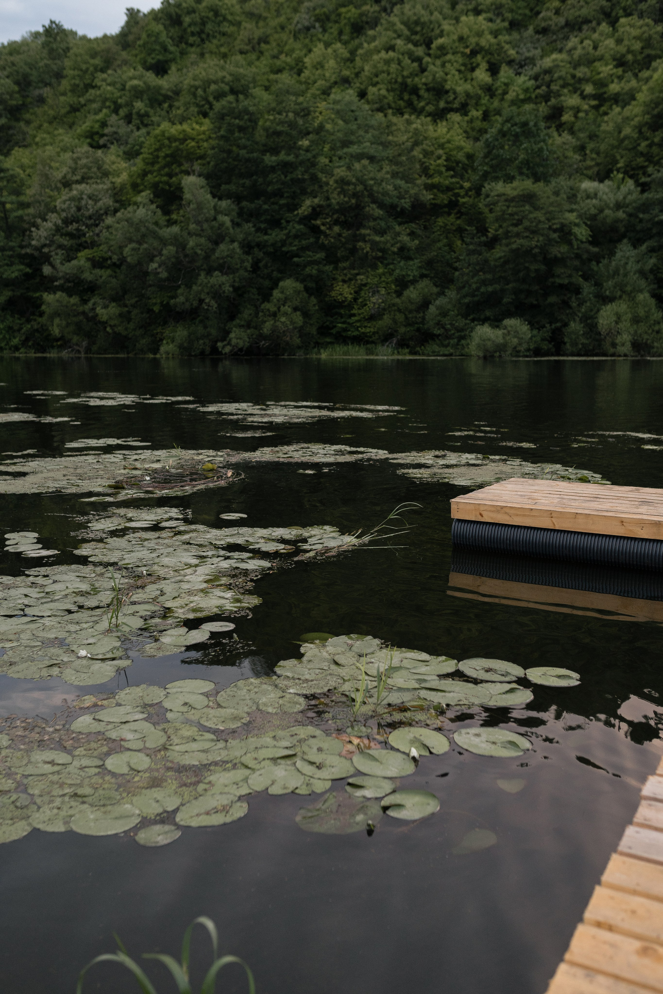 Контент-съемка. Фотограф Виктория Брайченко