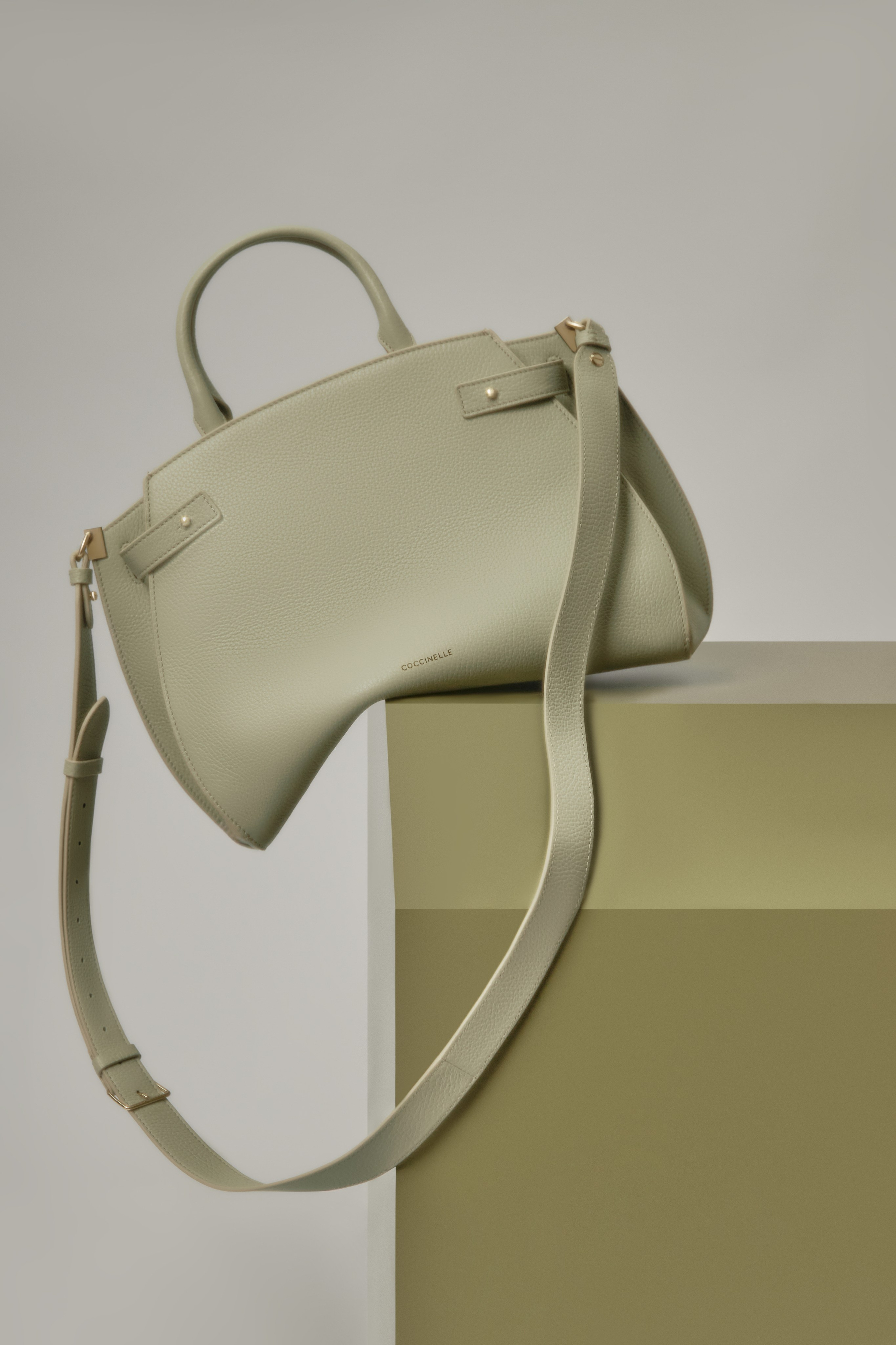 Coccinelli Bags. Dolgikh Production team