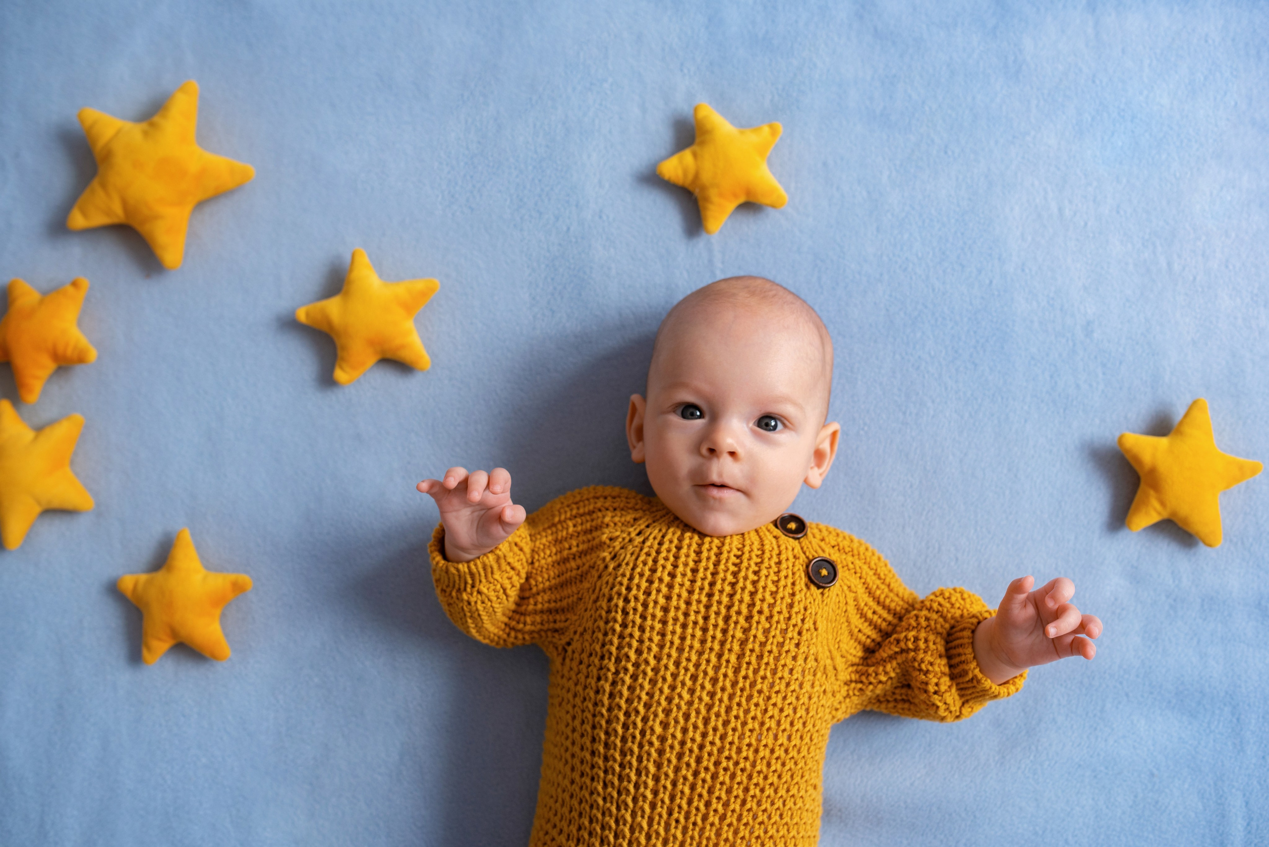 Лев (3 месяца)