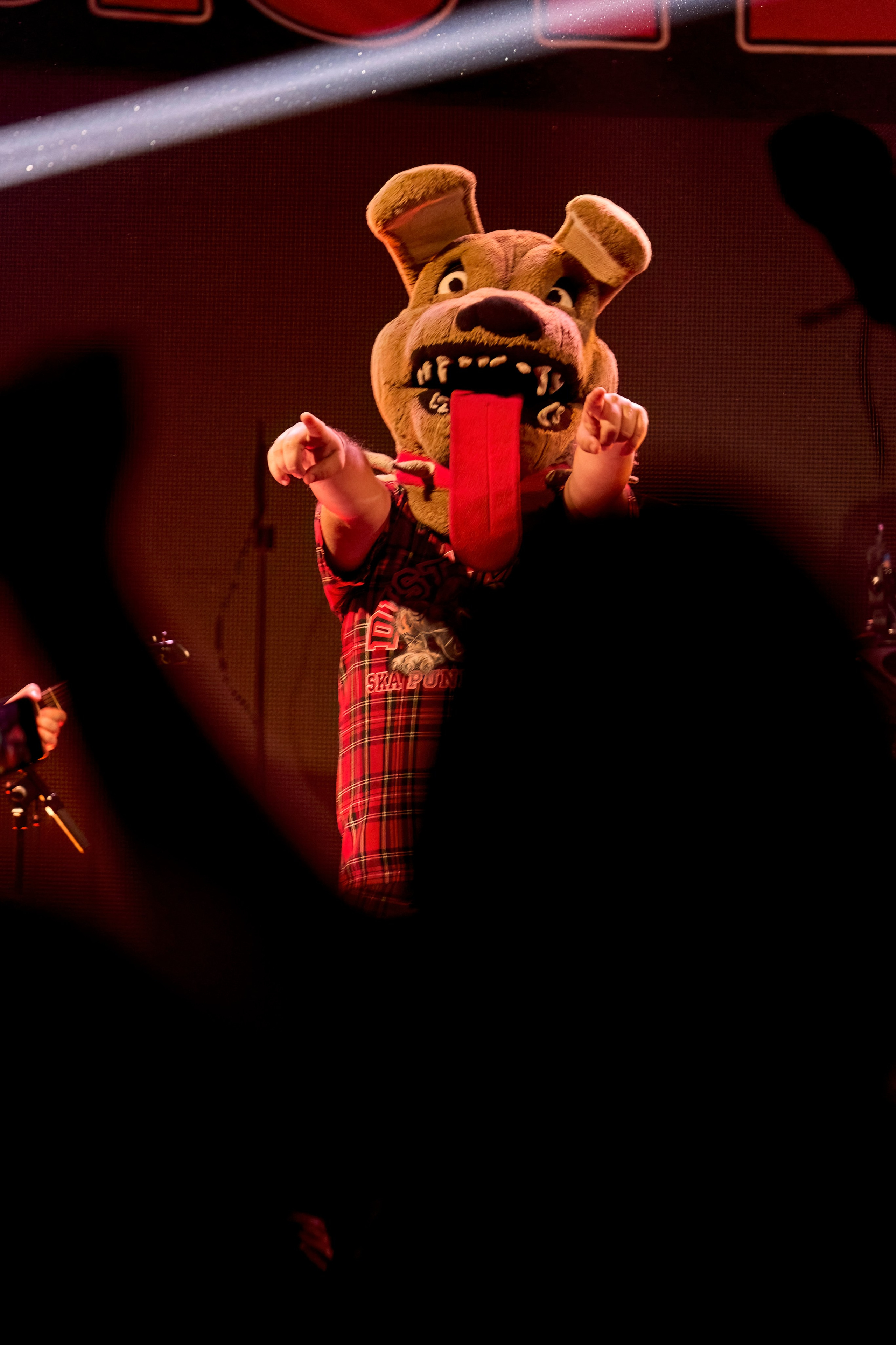 DISTEMPER / AGLOMERAT / 24.11.2023. Ekhovanov | фото- видеосъемка