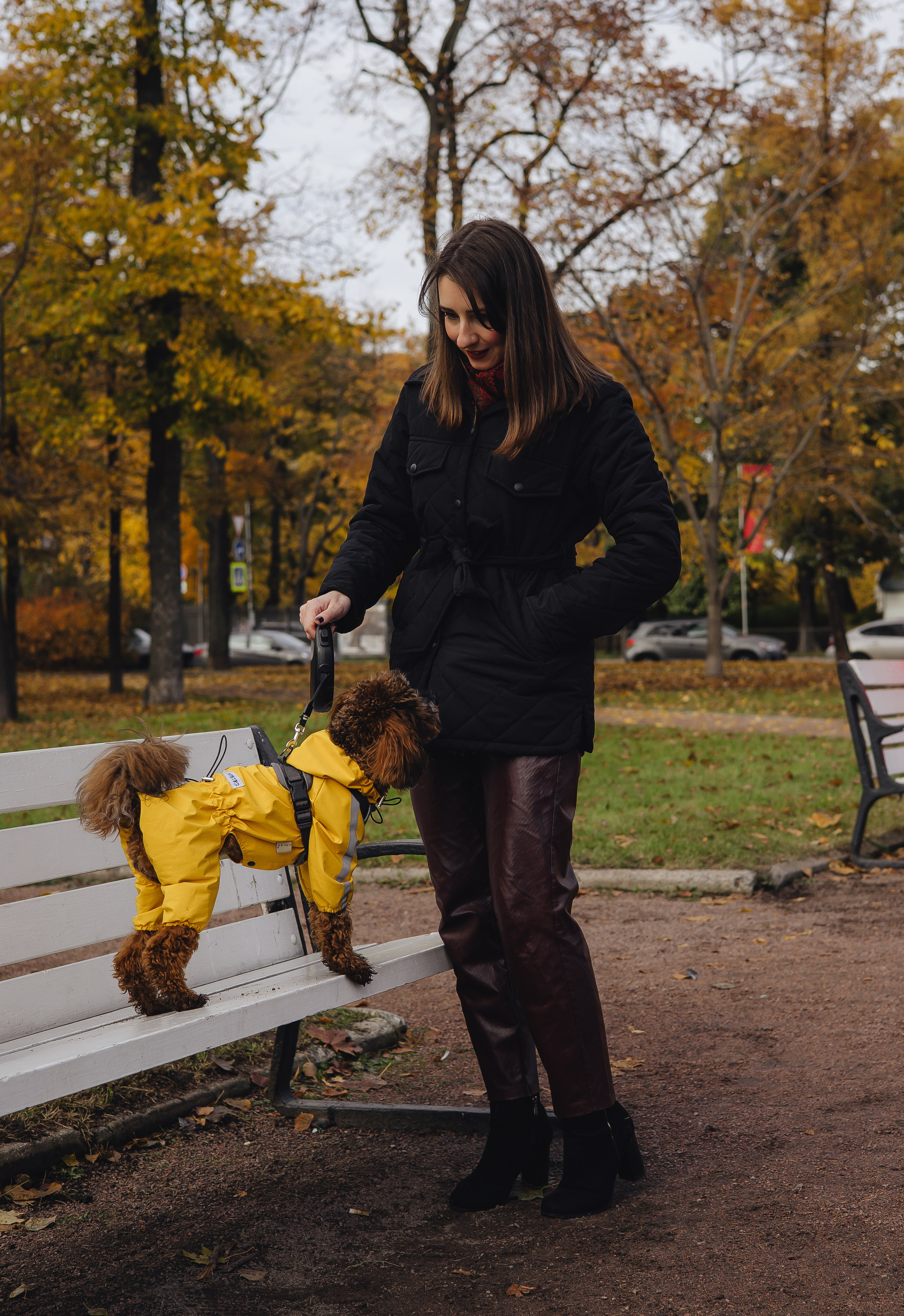 Летающая Мерси