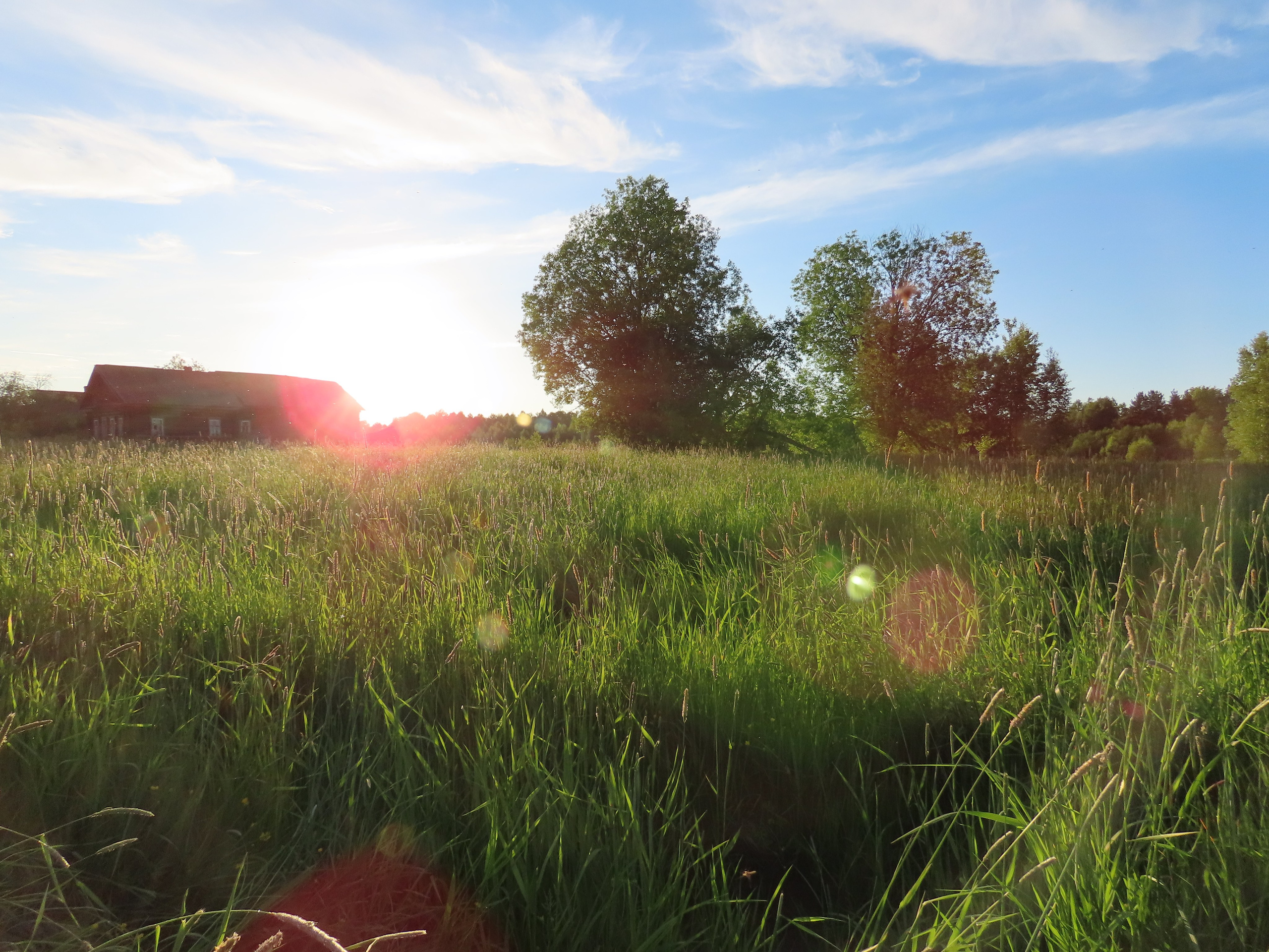 Чухлома — 20. Своя Мастерская