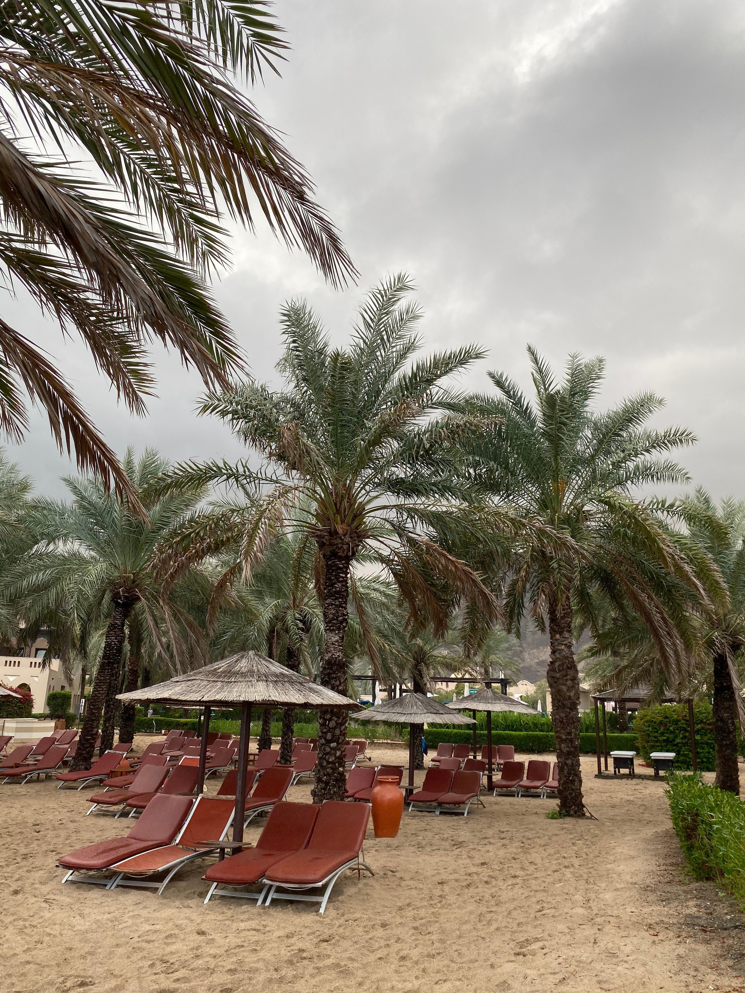 Эмираты — 19. Своя Мастерская