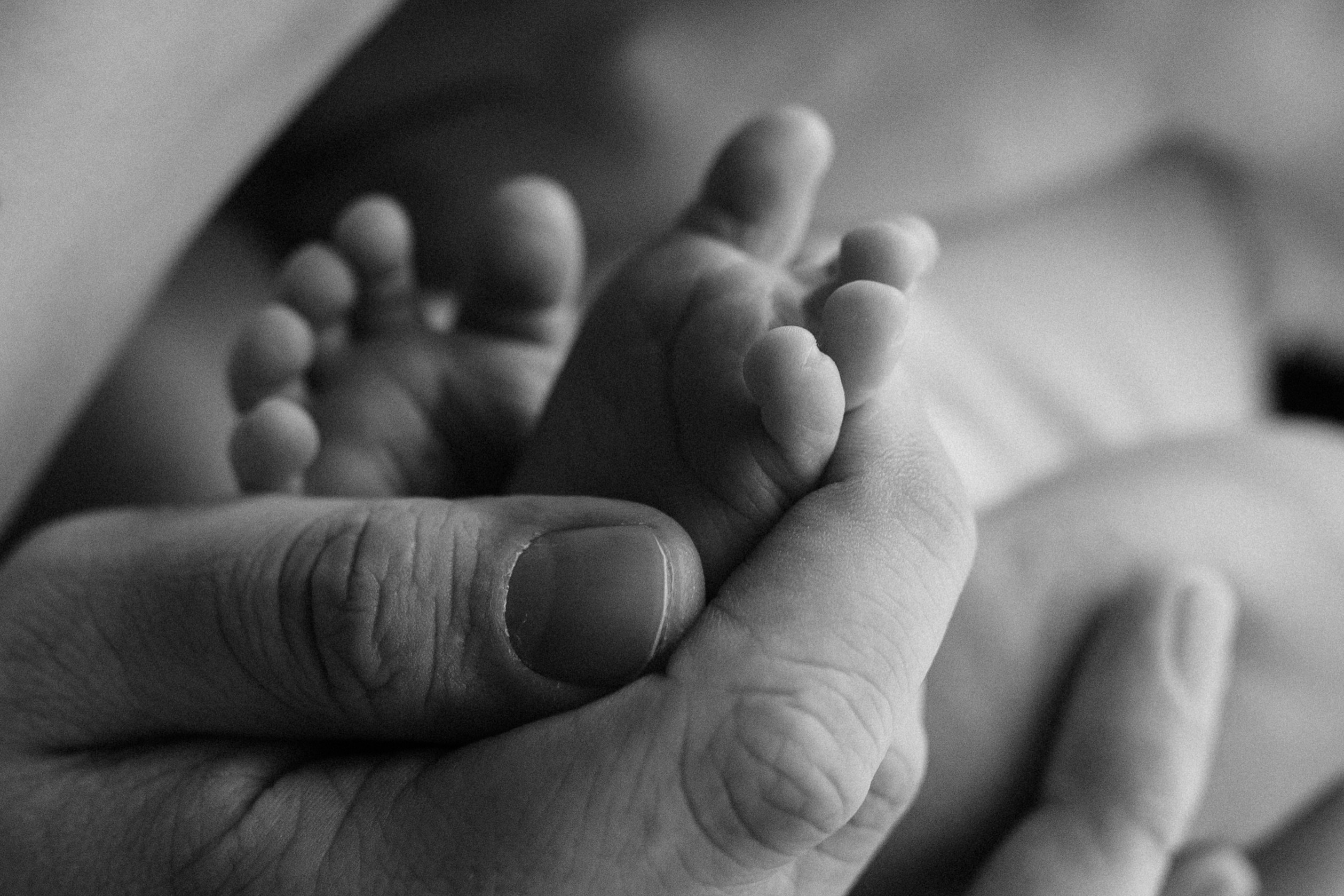 Настя, Рома, Ефим. Семейный фотограф Москва