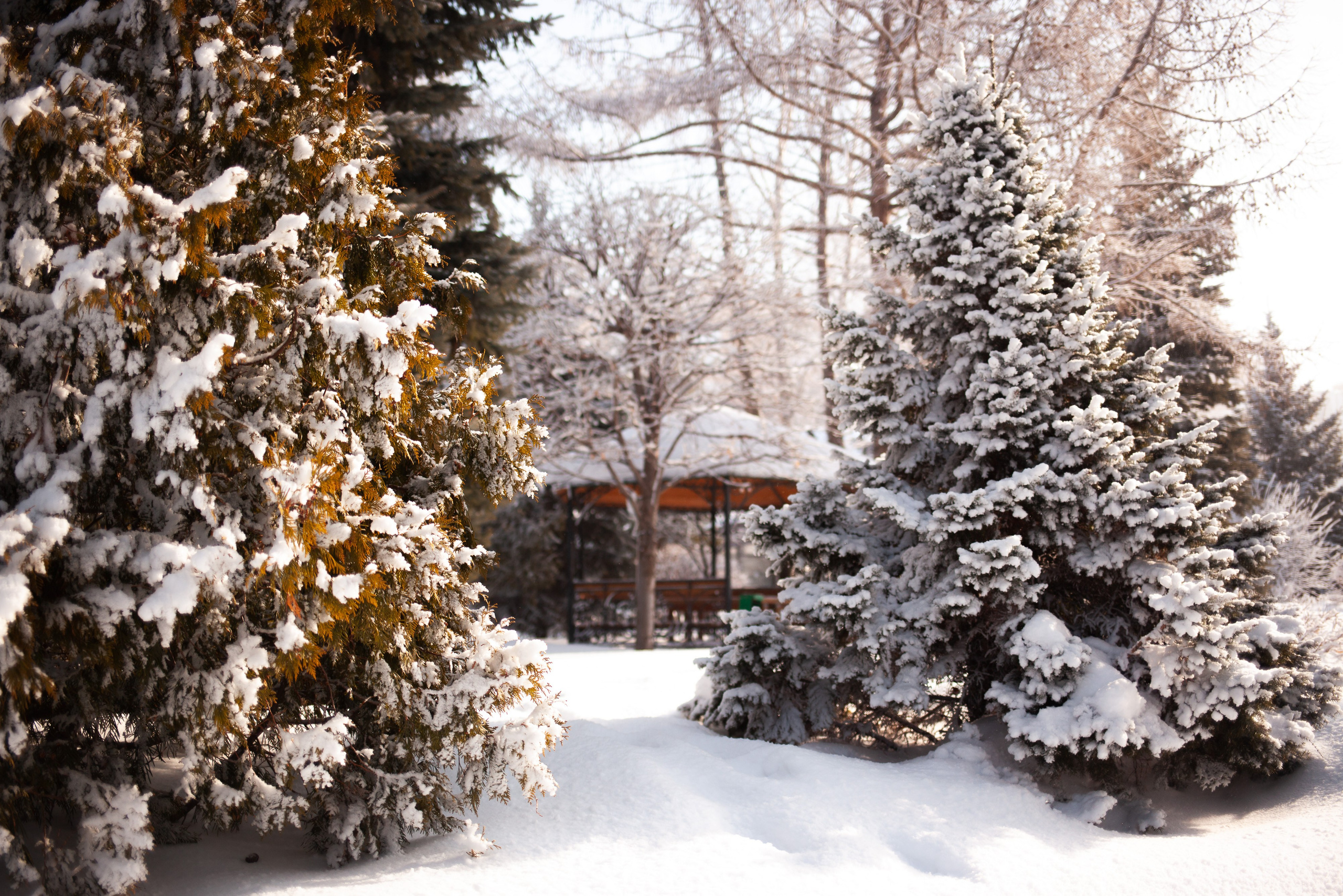 Фотосъемка природы, города, улиц. Инна Карцева Свадебный фотограф Тольятти