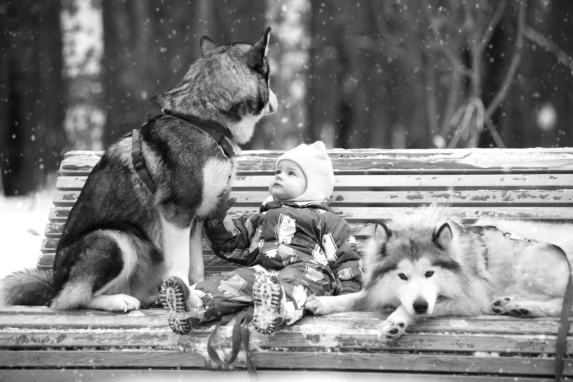 Люди. Профессиональный фотограф в Нижнем Новгороде — ФотоLEON