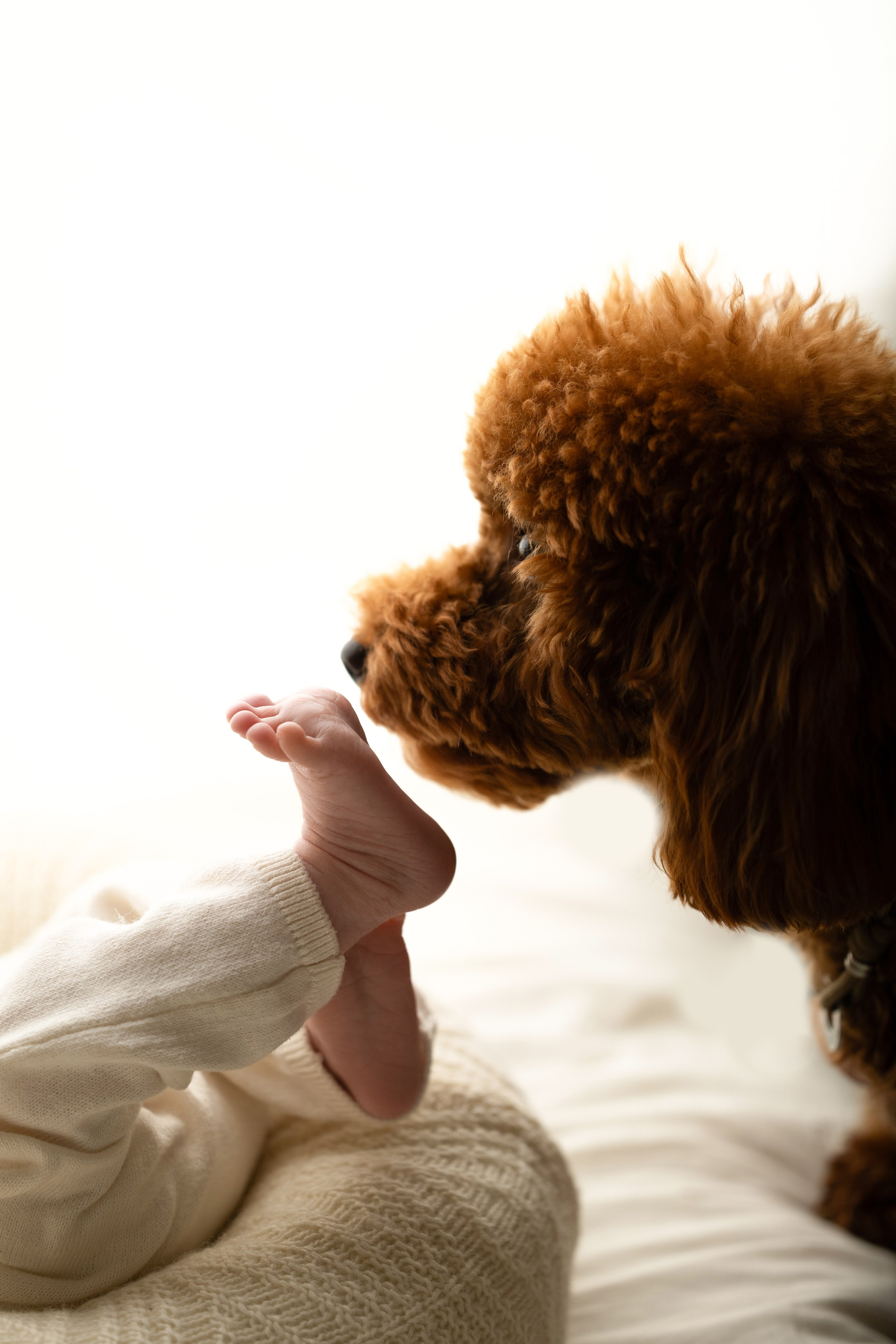 Мирон. Лилия Алтухова — фотограф новорожденных в Москве и области