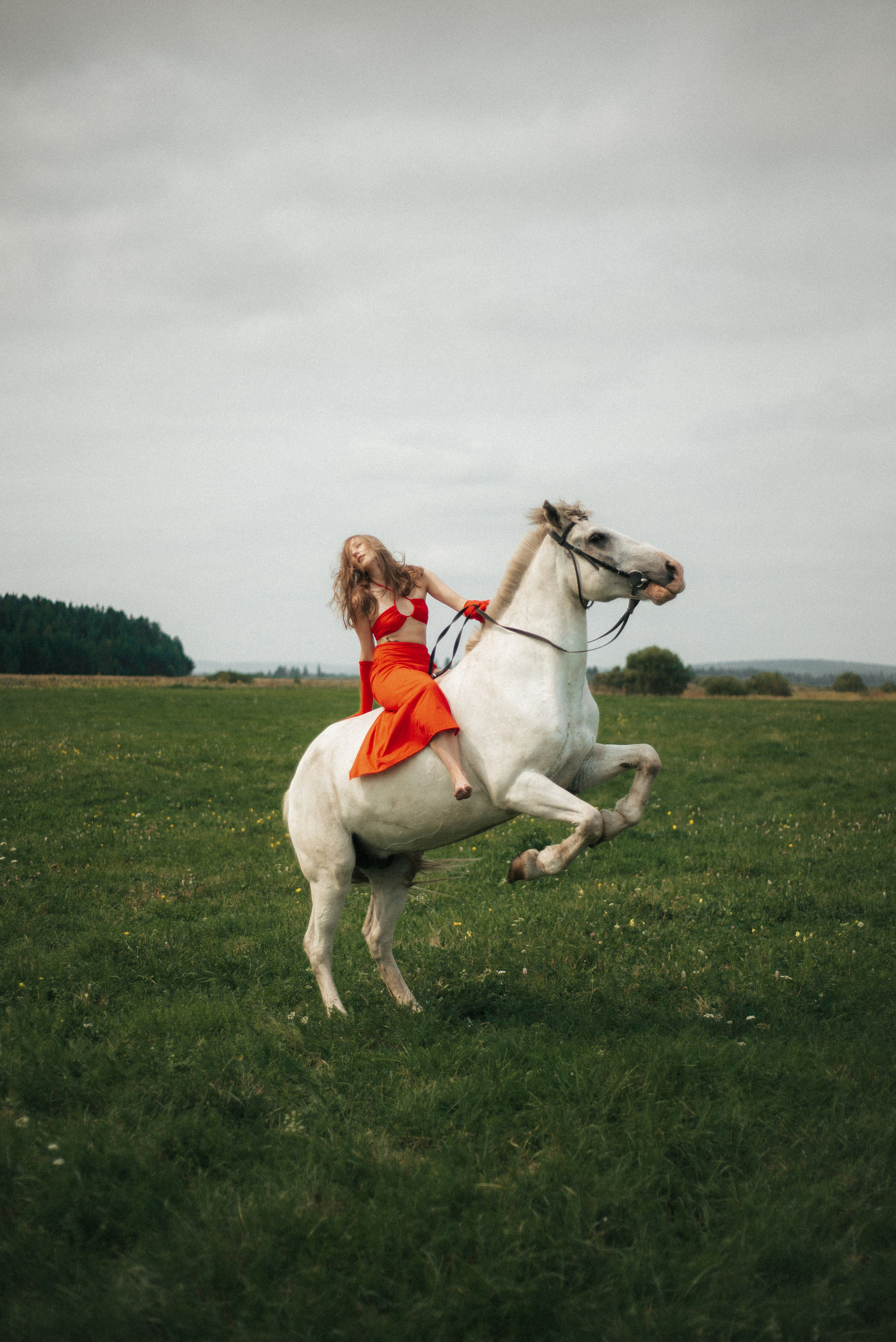Horse. Фотограф