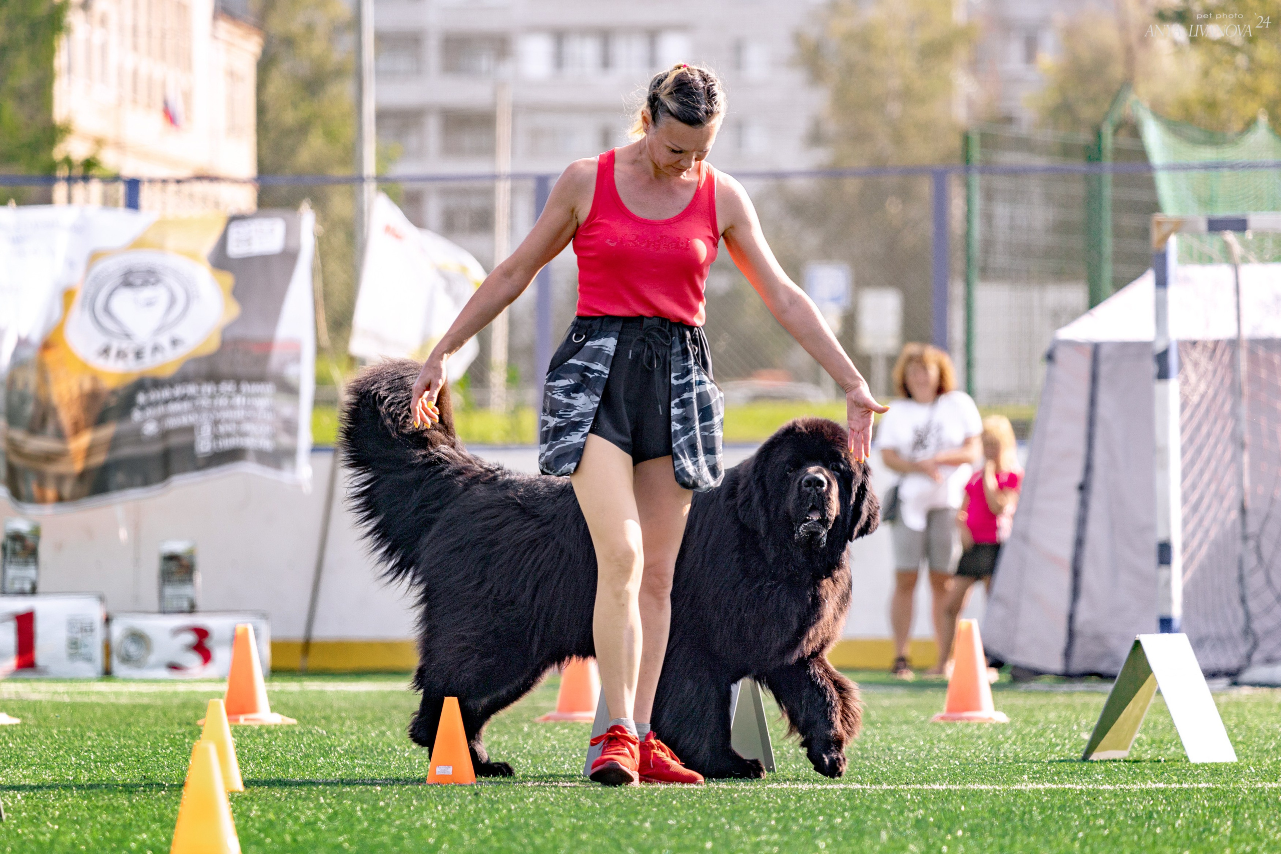 Ралли обидиенс. Фотограф анималист Аня Ливанова | Рыбинск