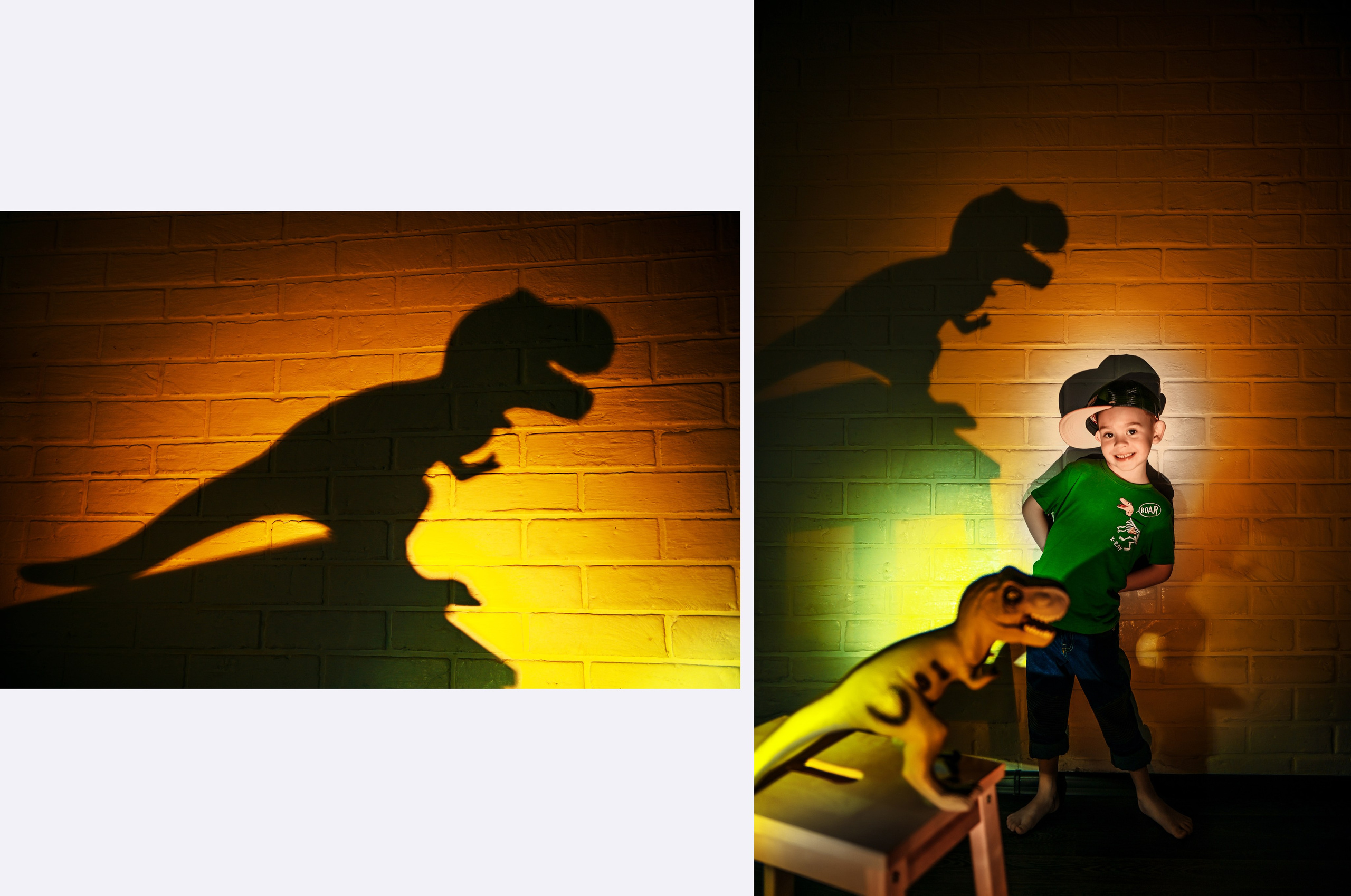 Детская с Динозаврами на 5 лет. Свадебный, семейный, детский, контент фотограф в Омске Максим Ильин