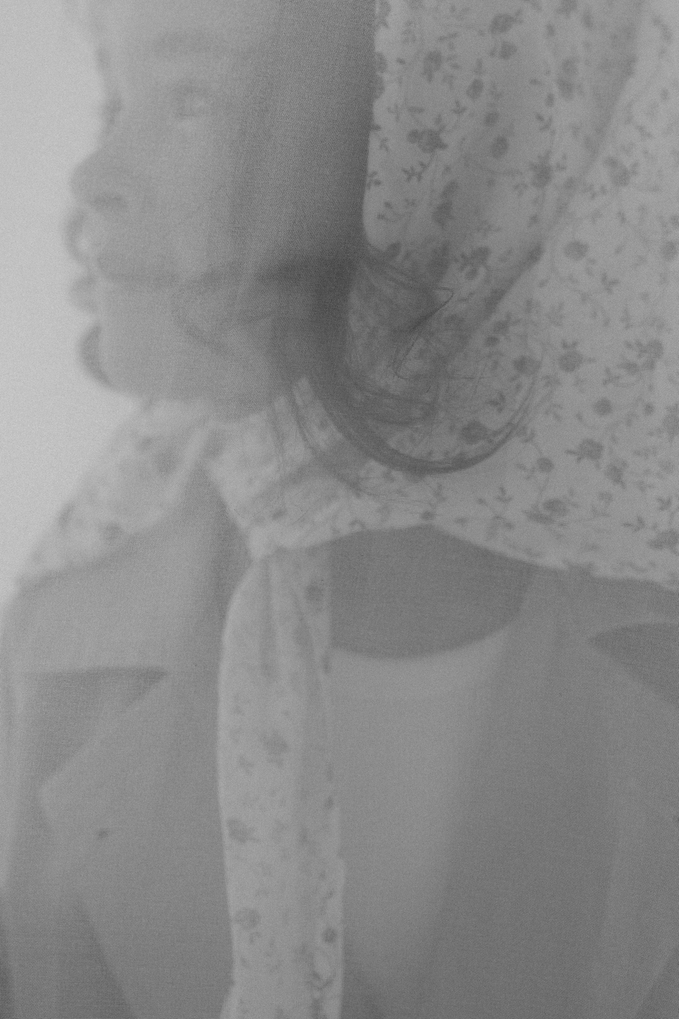 Марго. Фотограф в Челябинске Ольга Гурьянова