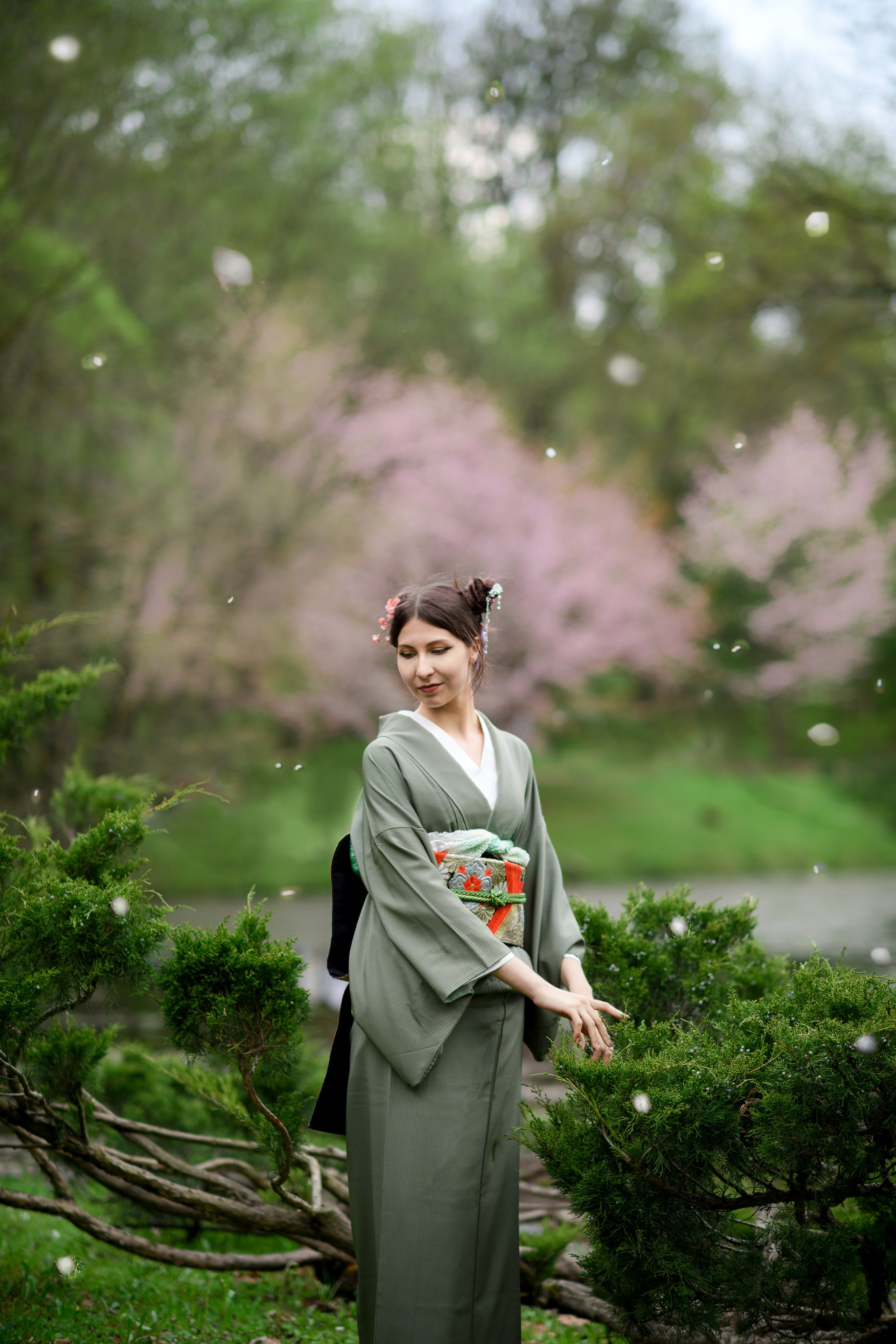 Любование цветением сакуры в Японском саду. Главная