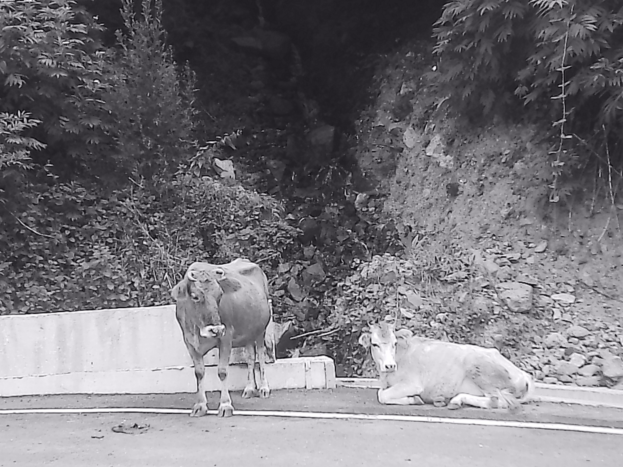 «Крошка 🐣». Anita_photo