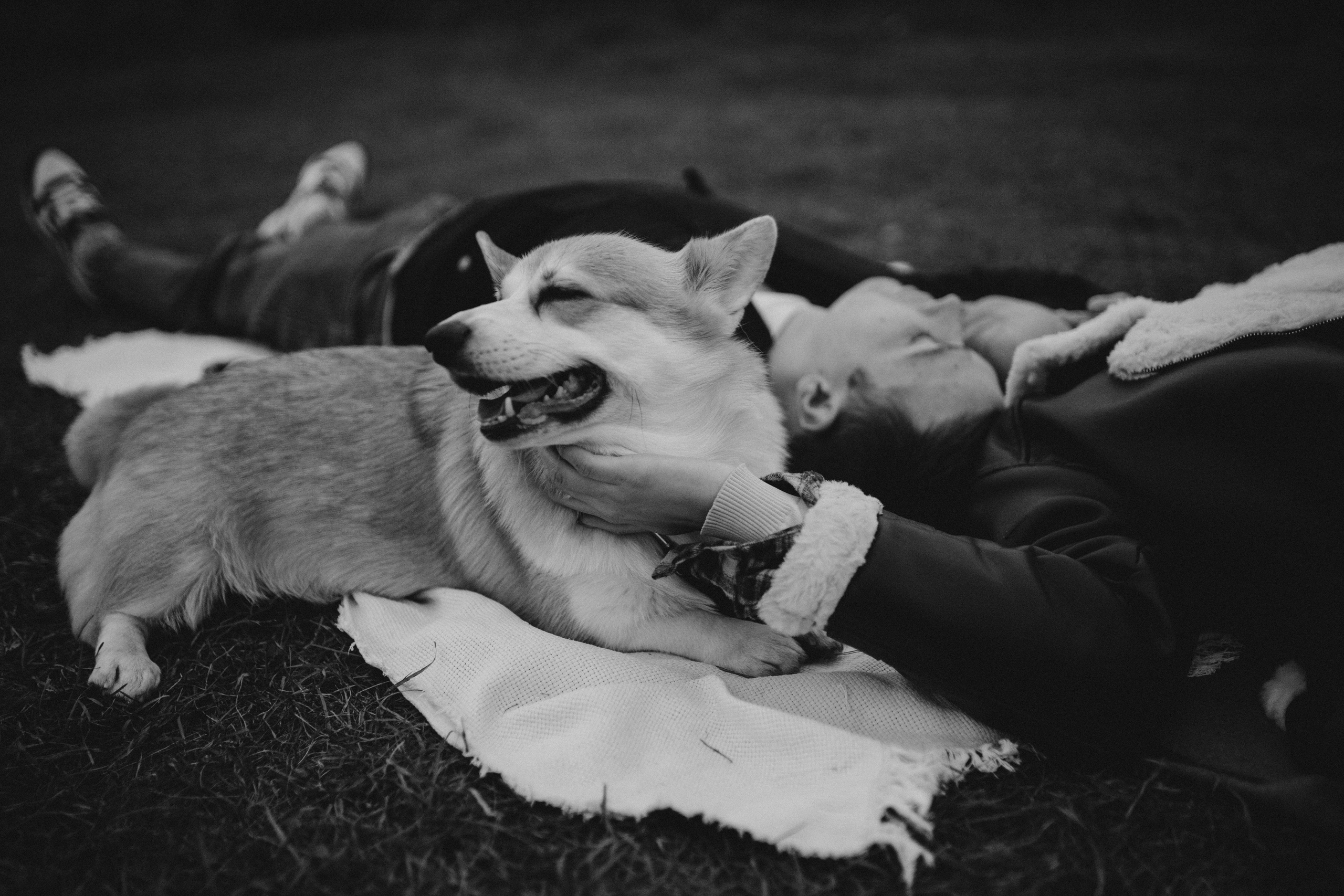 Настя, Никита и Мерси. Семейный и детский фотограф Красноярск Иркутск Денк Анна