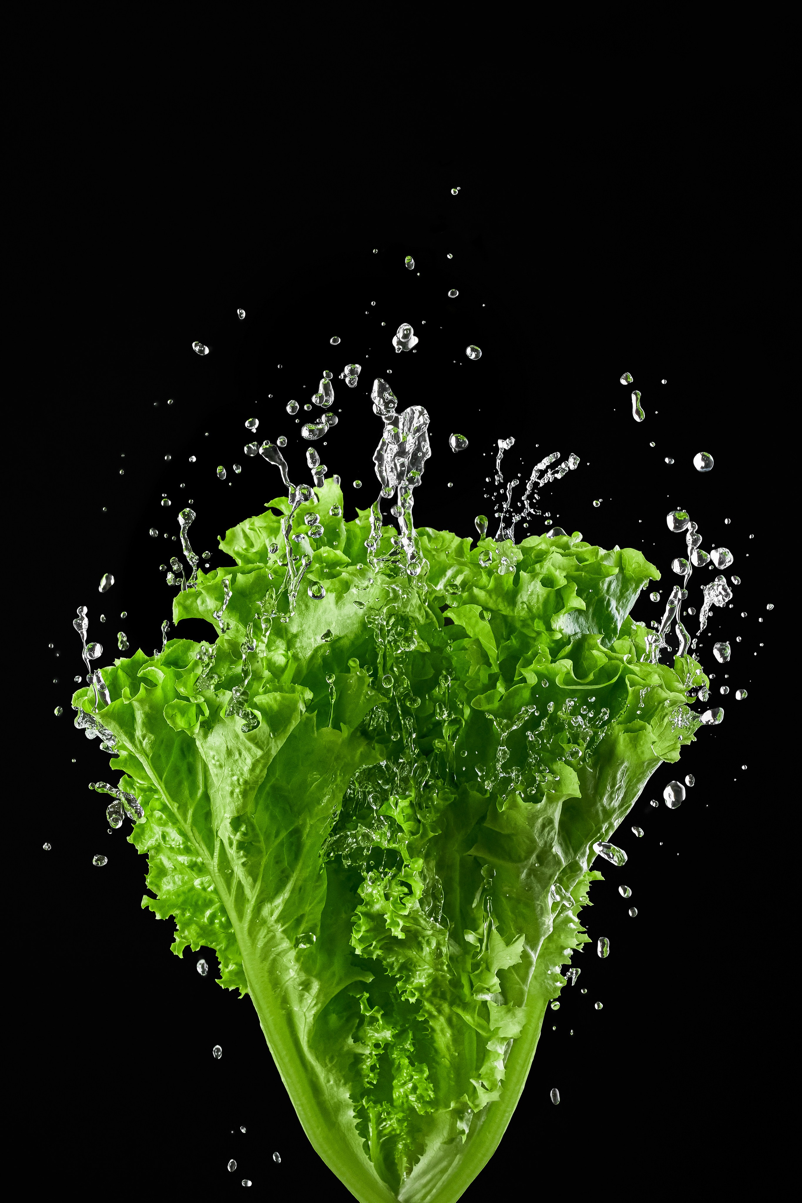 Спецэффекты. Cheese Food Photo — Предметная и фуд фотосъёмка в Белгороде