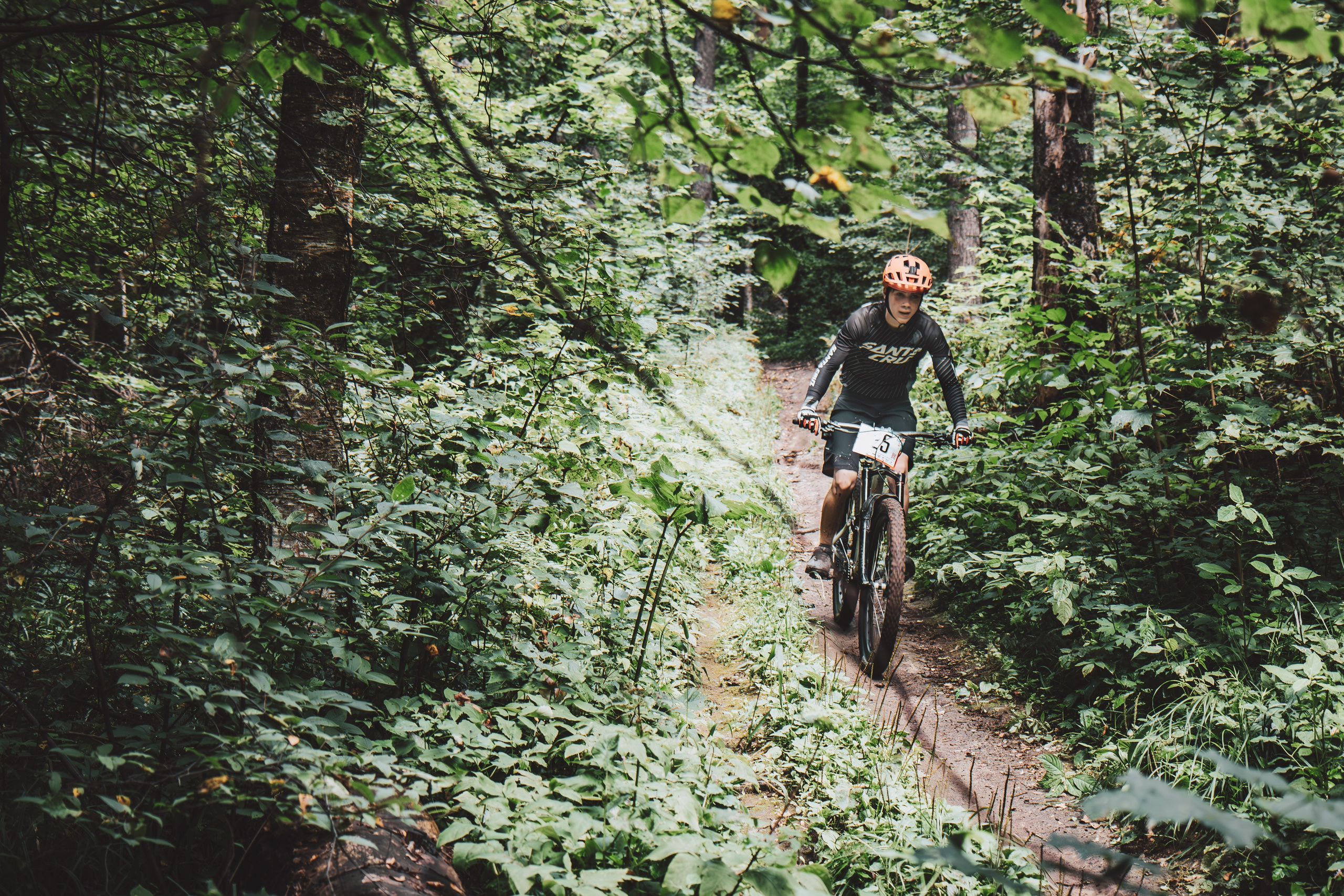 Портфолио «Спорт+»