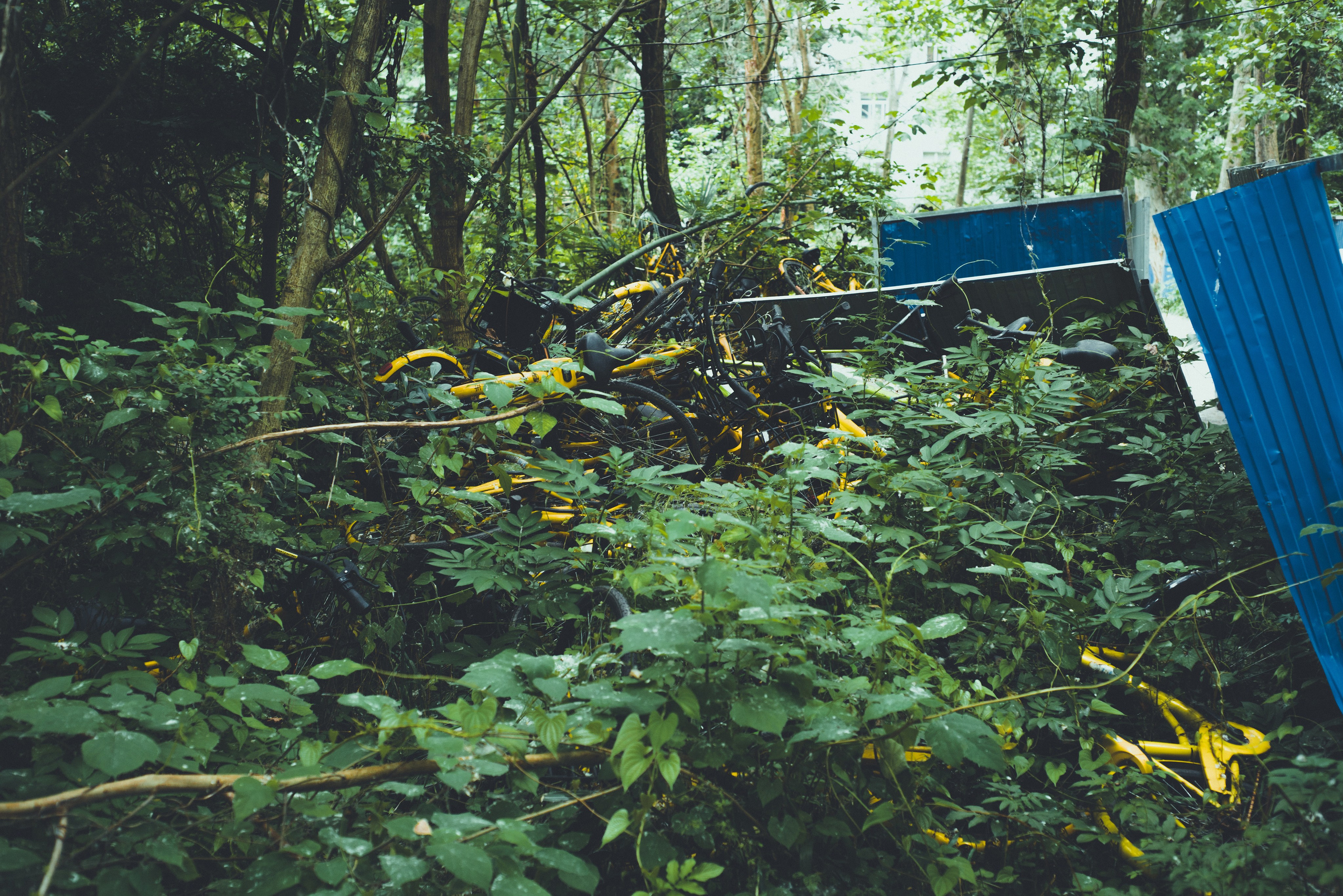 Рекламный фотограф из Гуанчжоу: путешествие по Уханю через объектив камеры. Коммерческий и предметный фотограф в Гуанчжоу Коваленко Александр