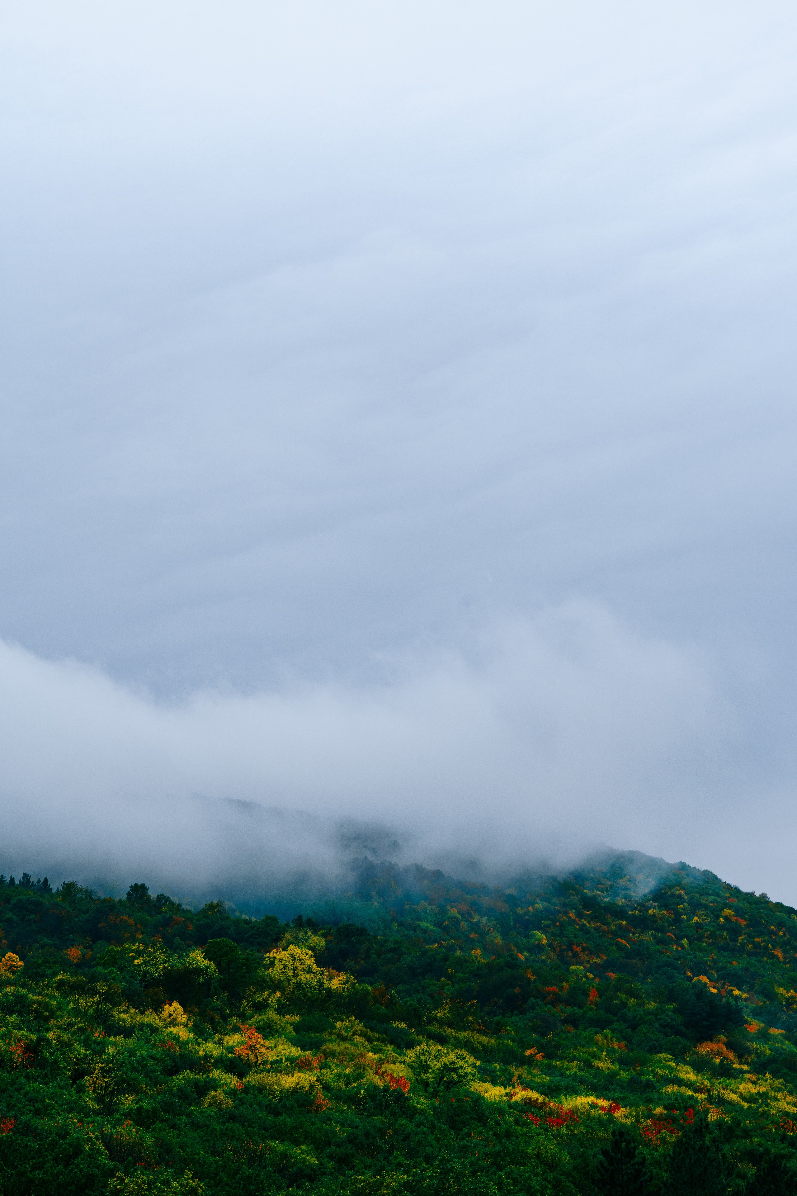 Landscapes. Oleg Kozachok — Photographer with Protanopia | Portraits, Texture & Light