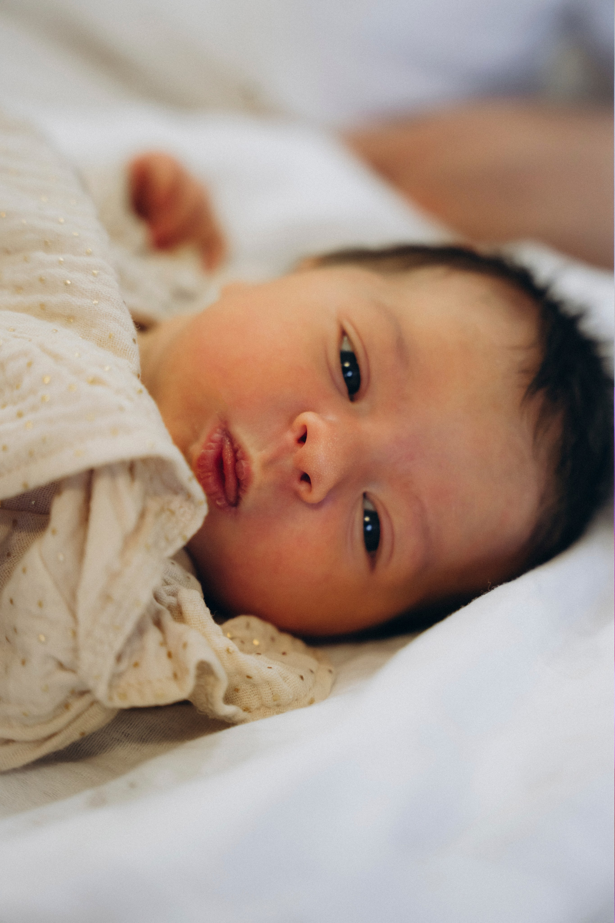 Вика и Дима. Аплас Анастасия