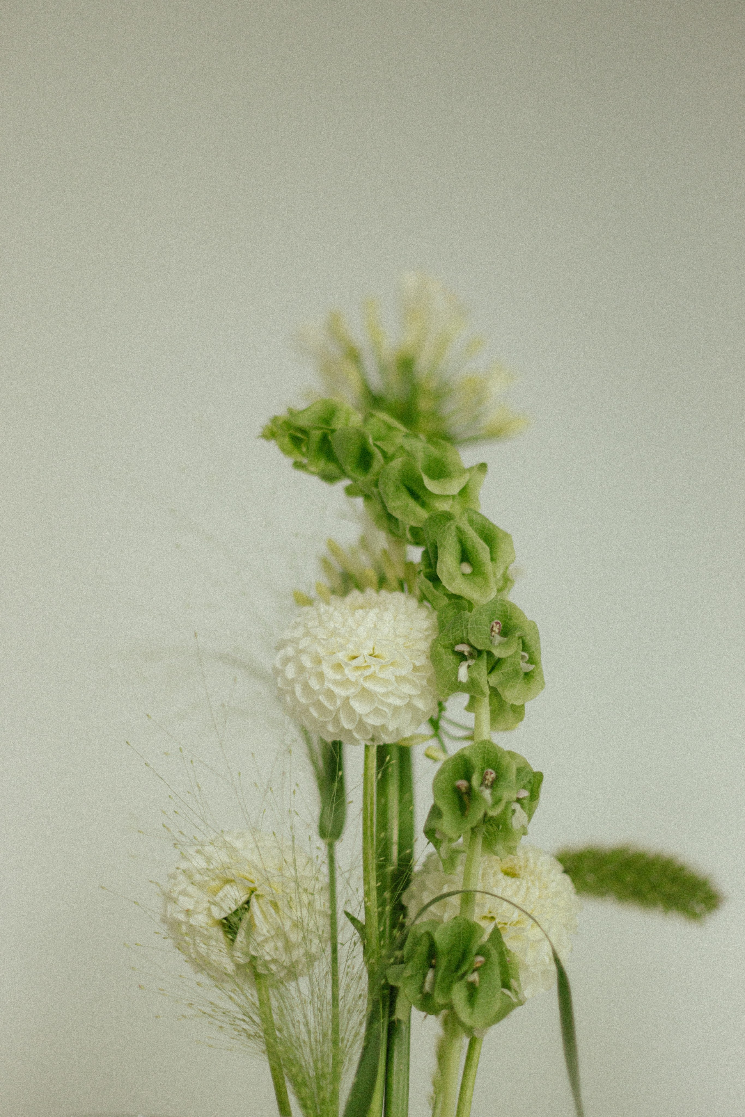 День Рождения Вики. Семейный и детский фотограф Юлия Шох