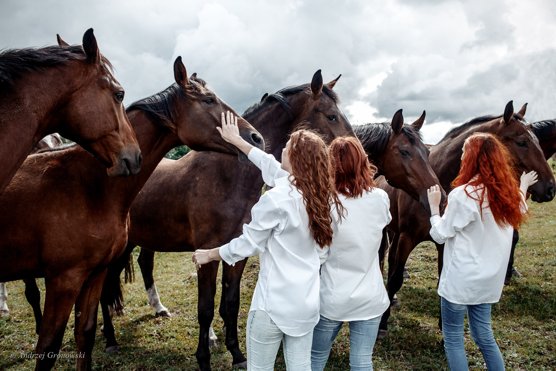 Рыжие и лошади. A. Гроновски —Портретный женский фотограф в Калининграде| Портреты, НЮ, Репортажи
