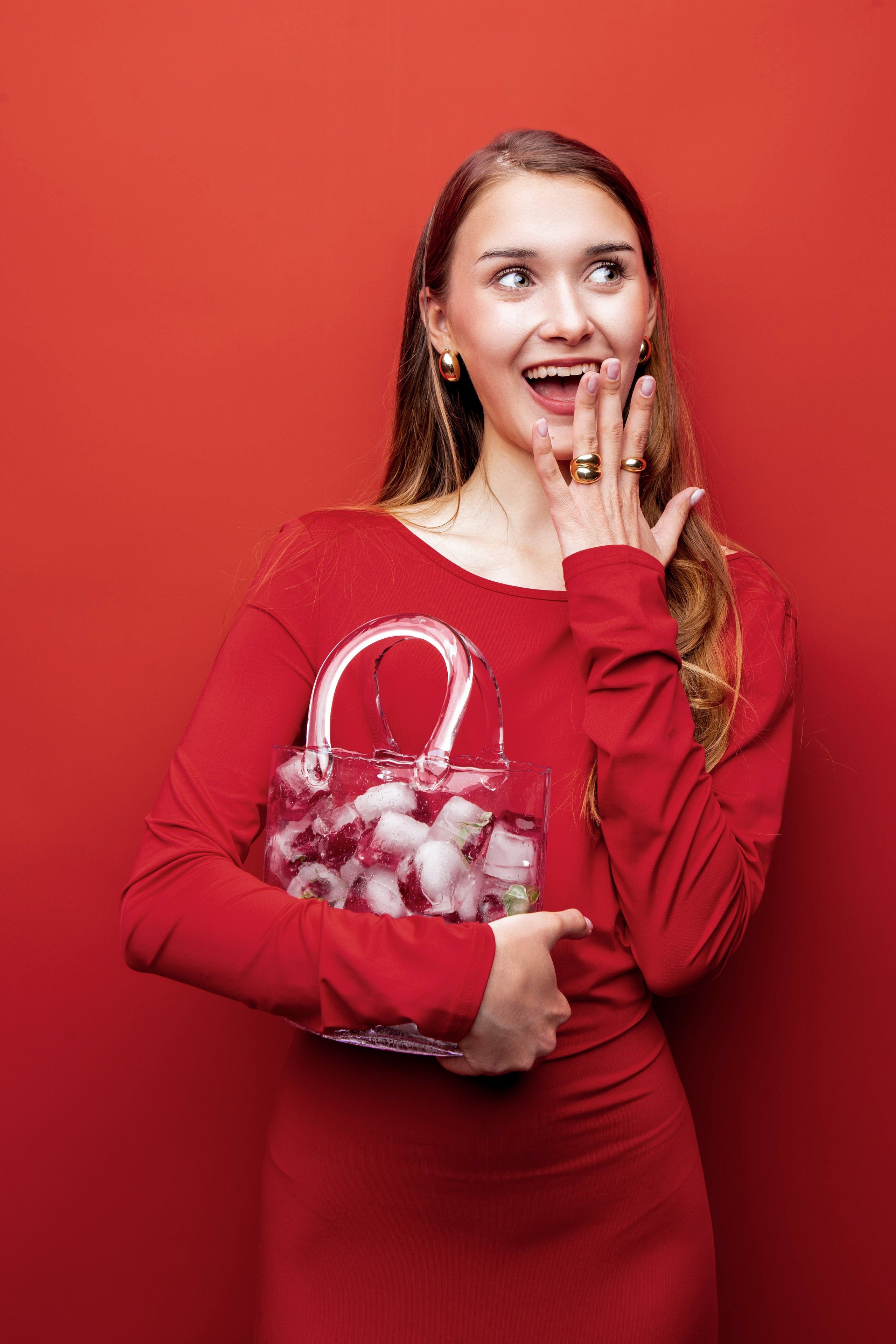 Алая роза. Фотограф Екатерина Голицына