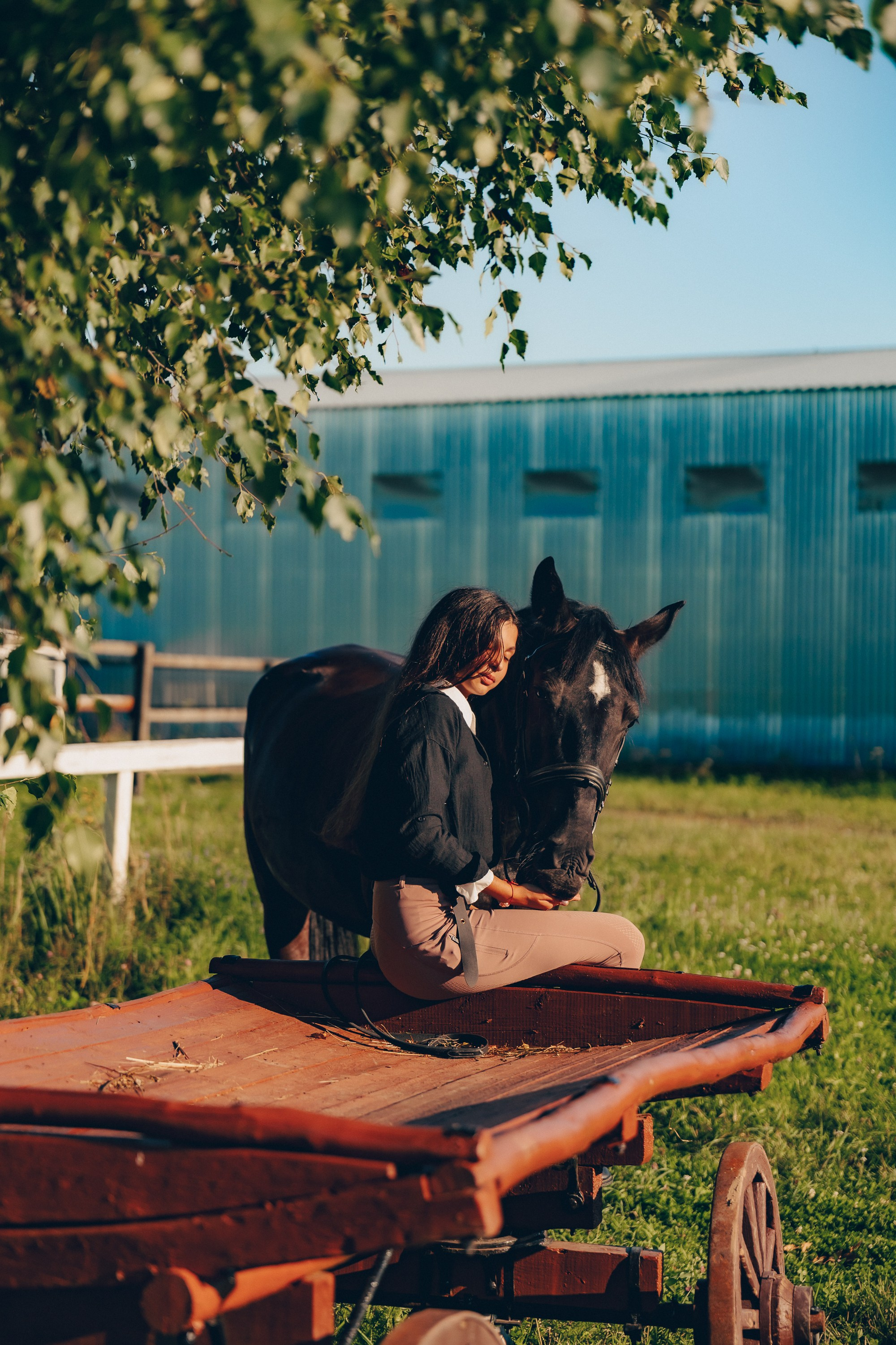 Самая большая любовь Софии 🐴✨. Профессиональный фотограф Natali Aieteia