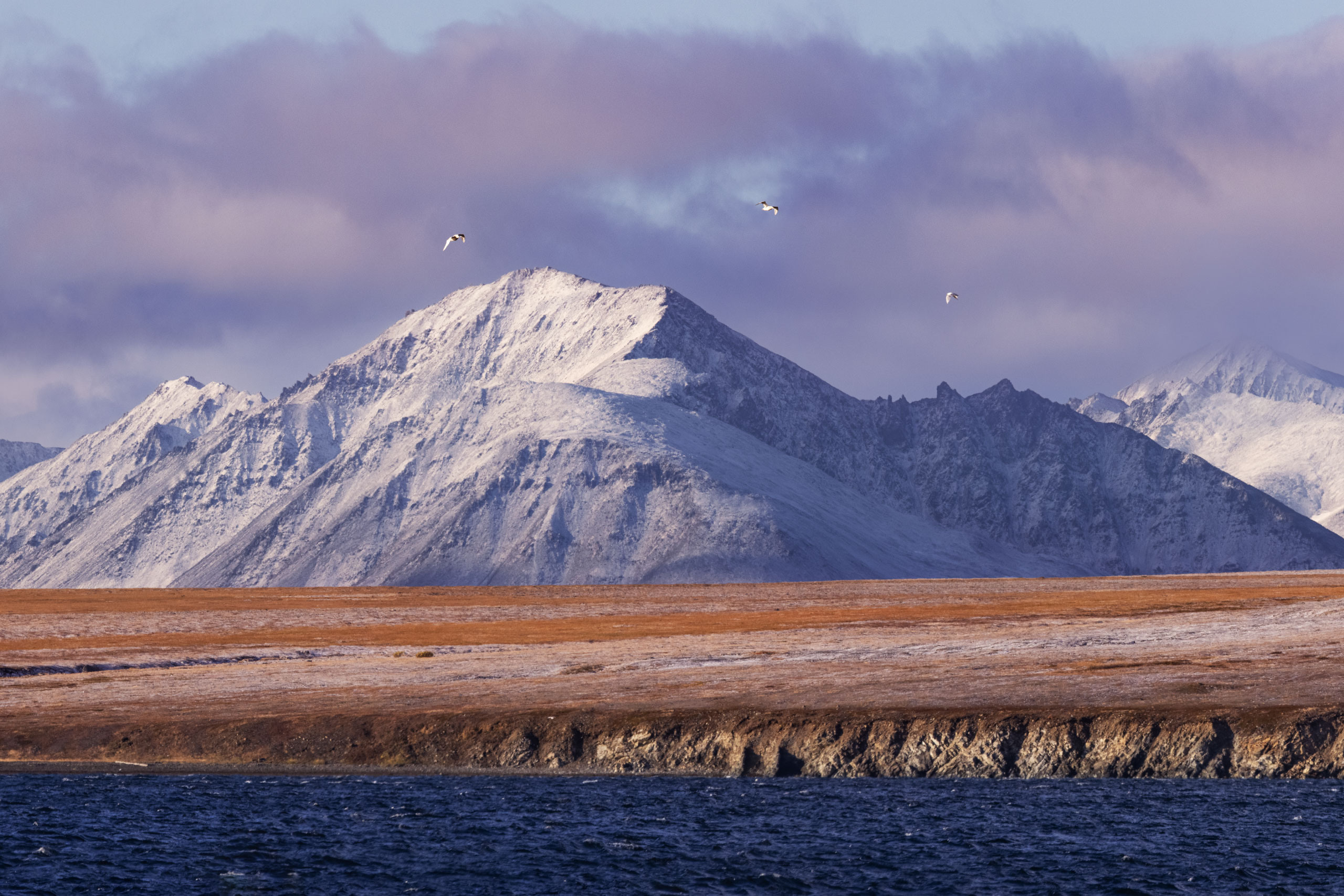 Петр Ушанов — фотограф